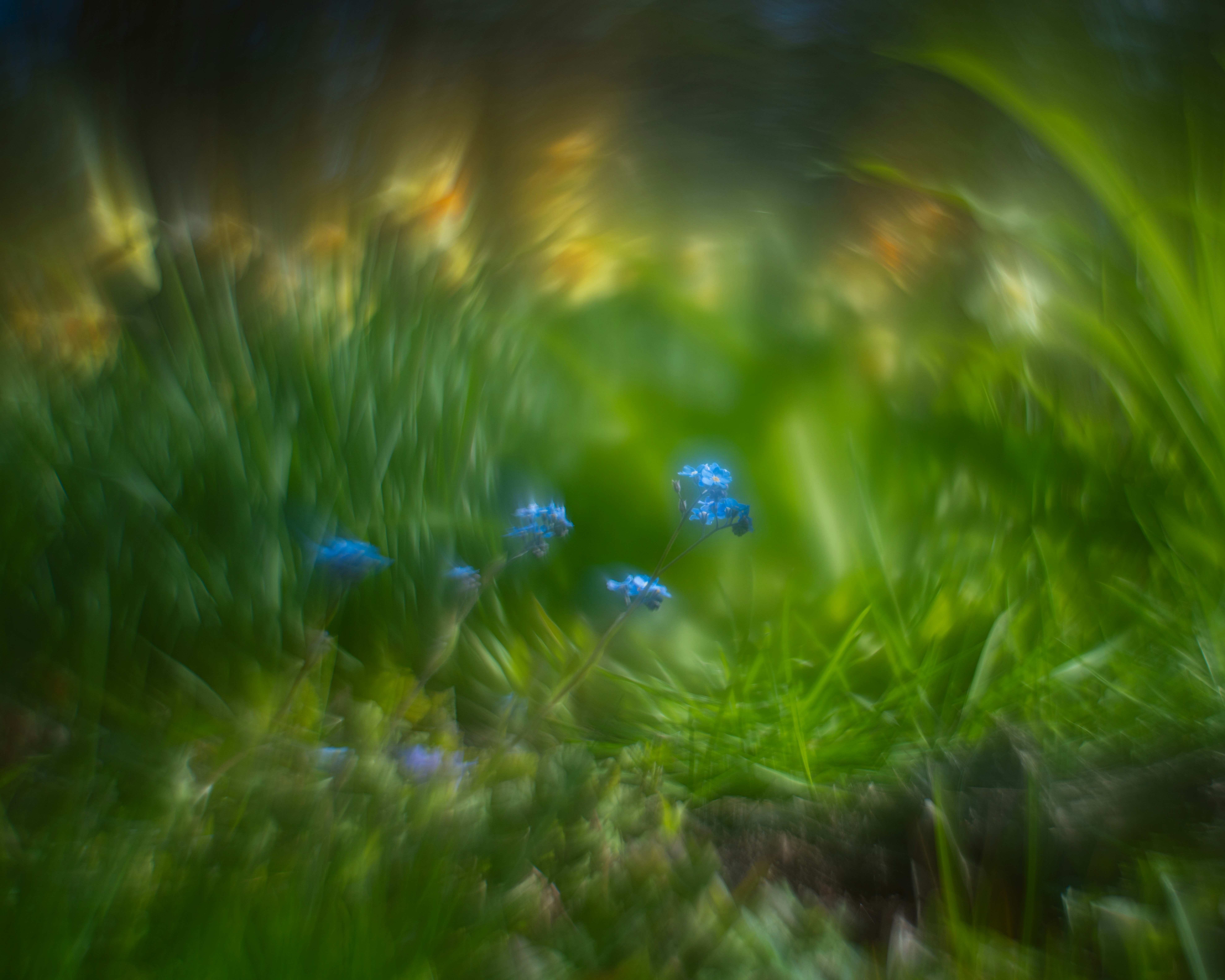 Photo by skylerewing