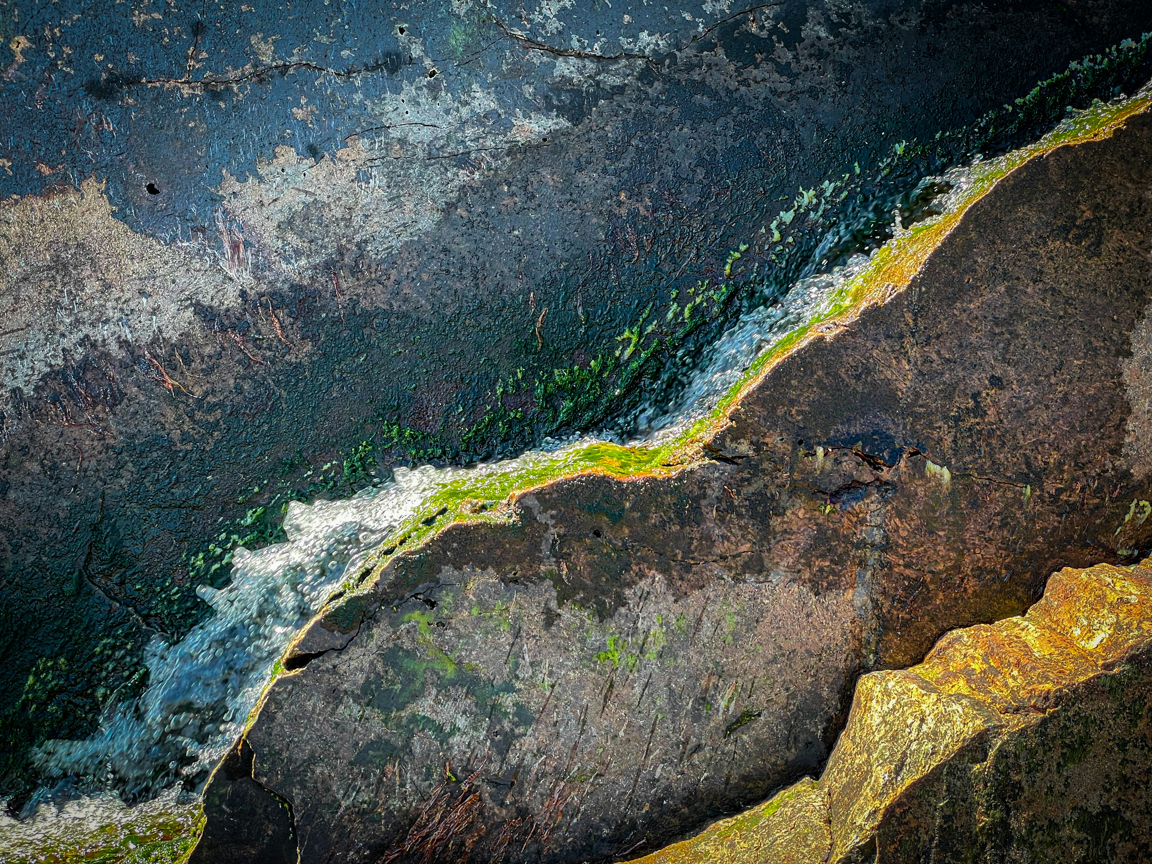 Photo by skylerewing