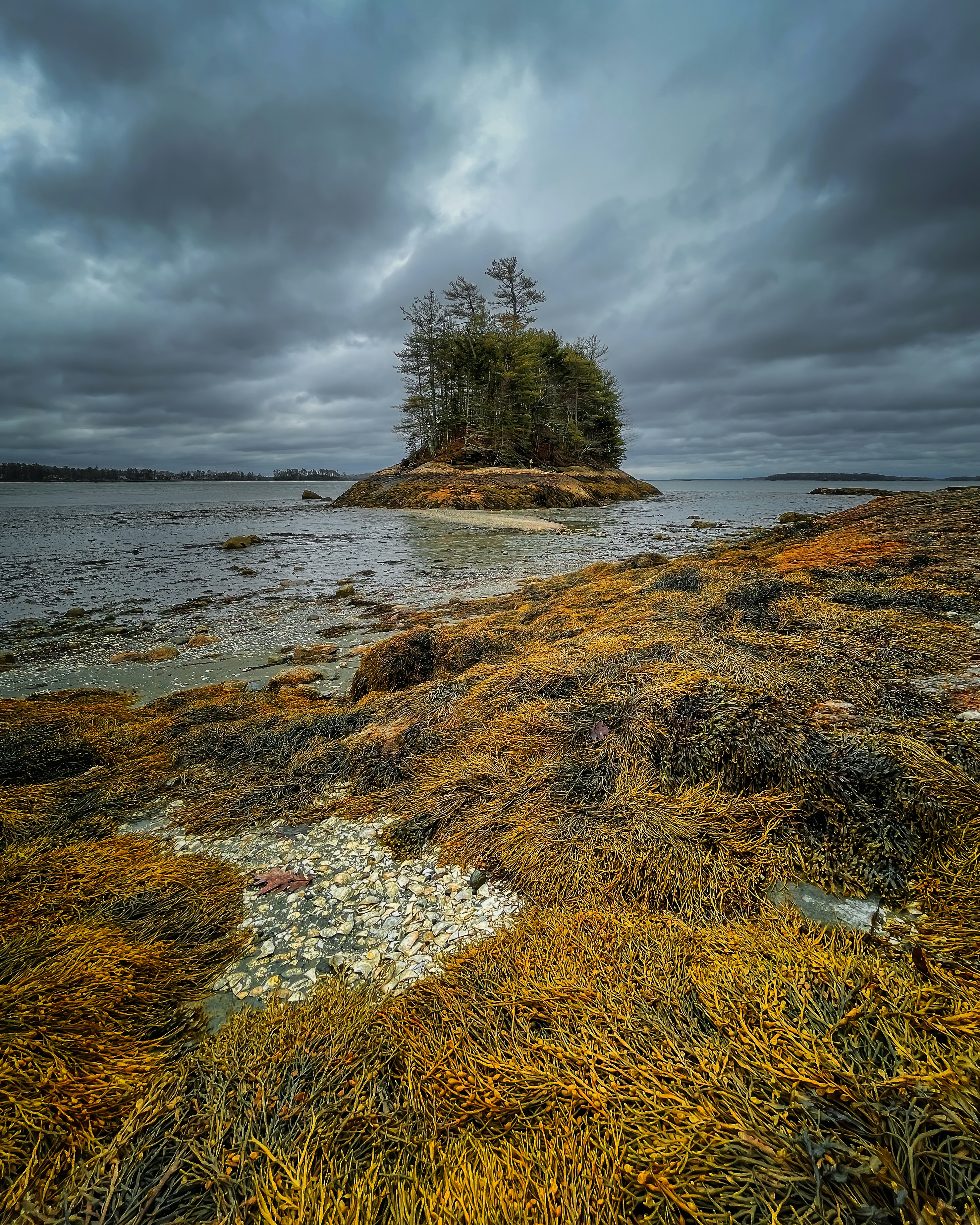 Photo by skylerewing