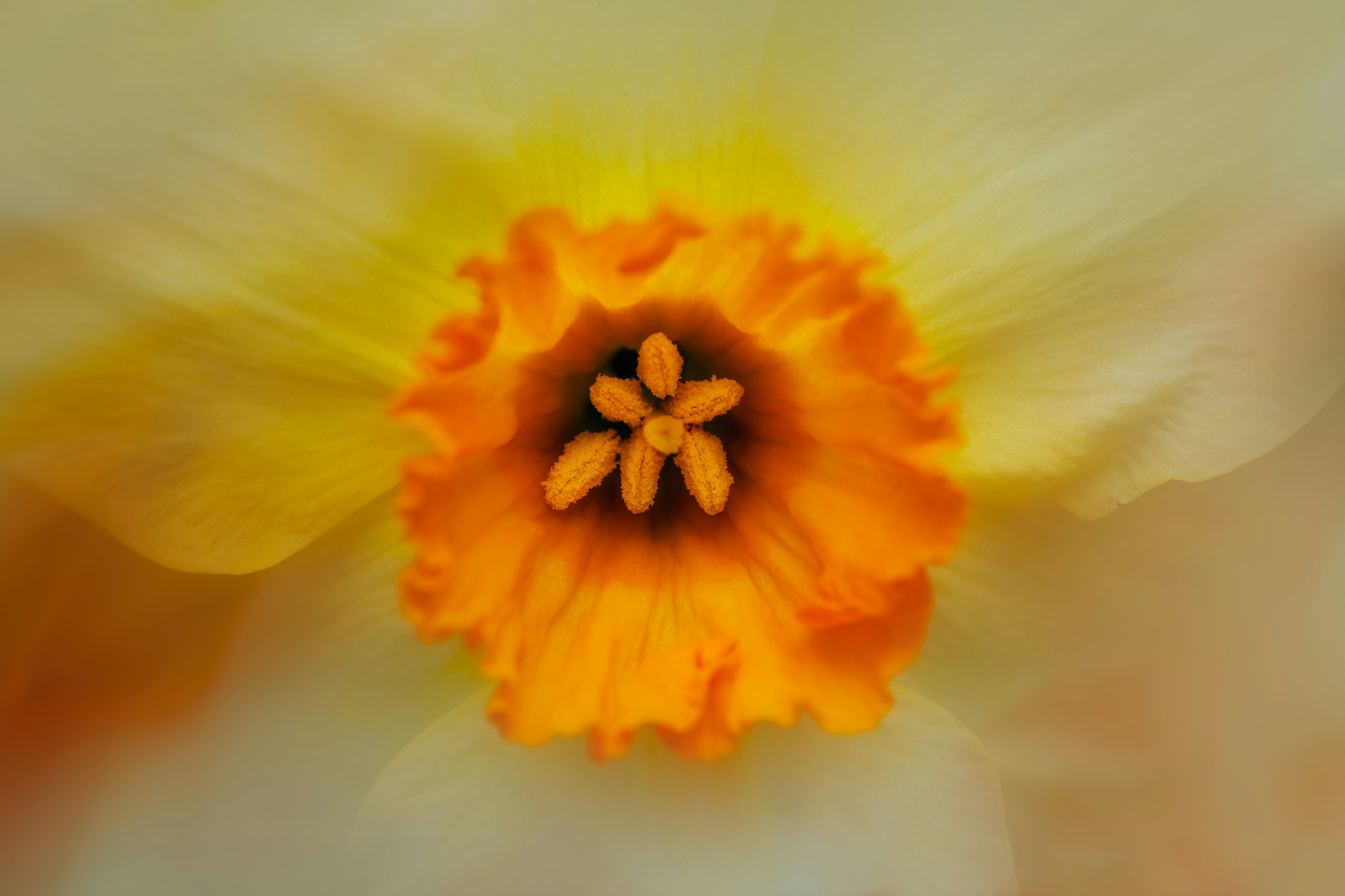 Photo by skylerewing