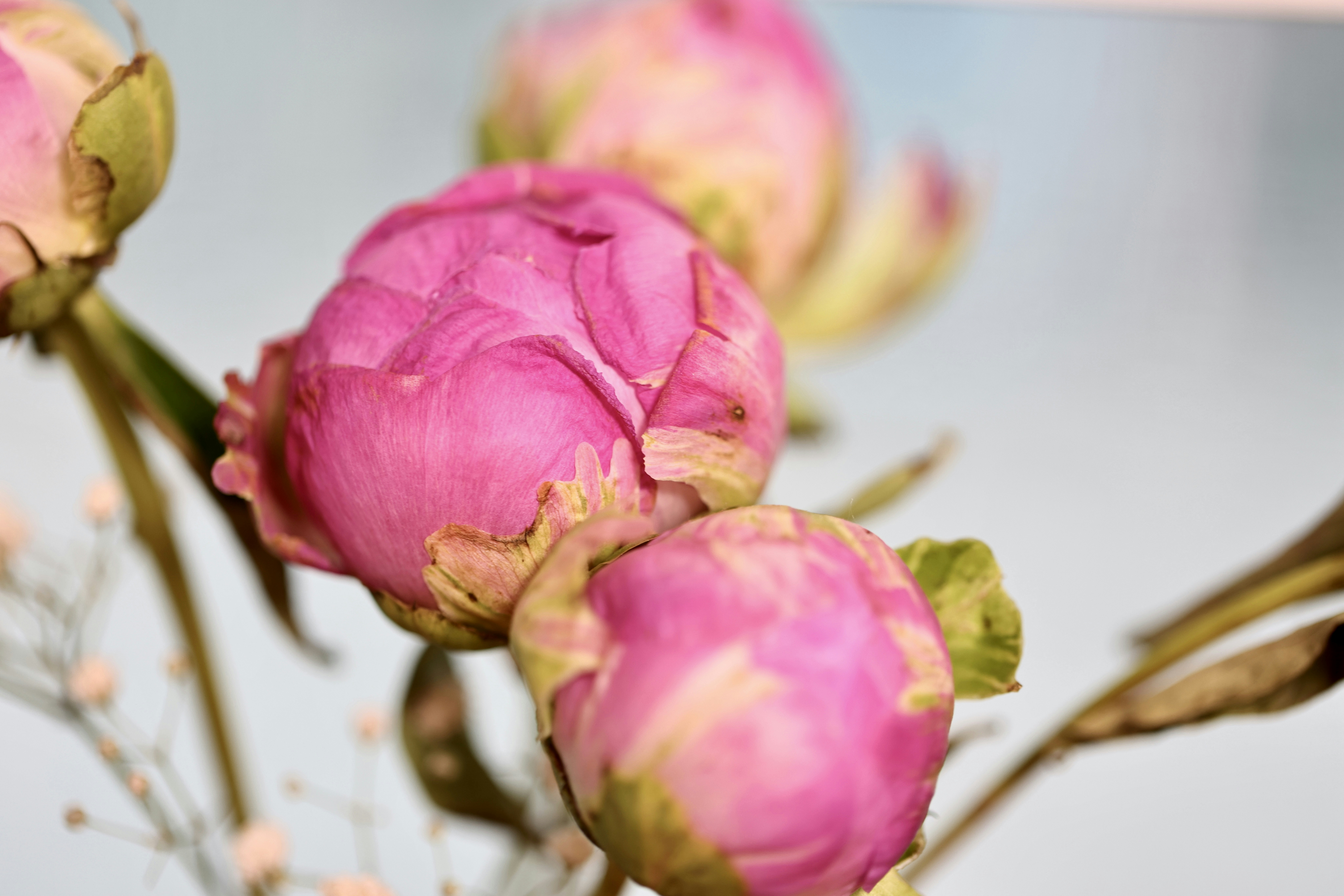 Photo by dickenslin76