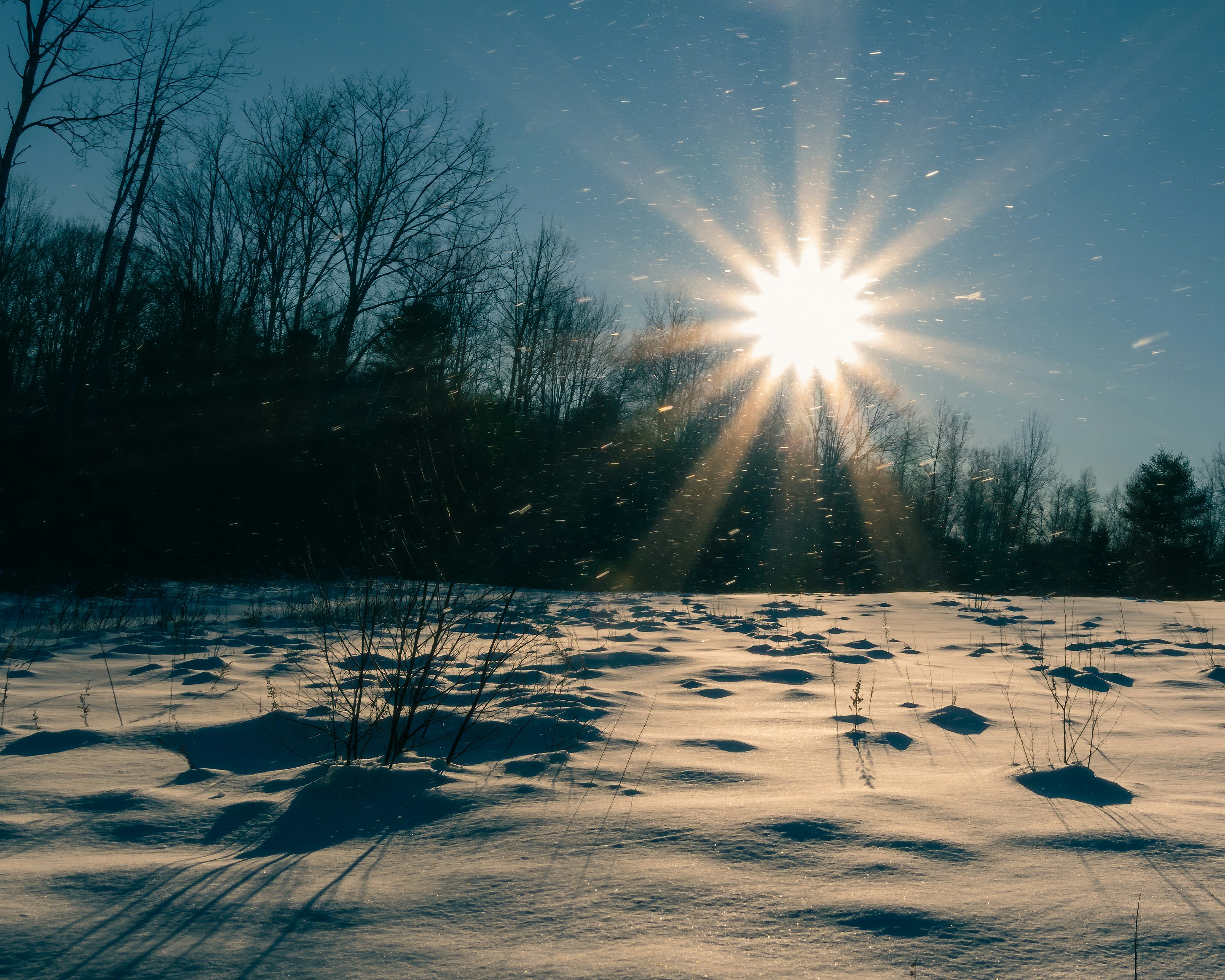 Photo by skylerewing