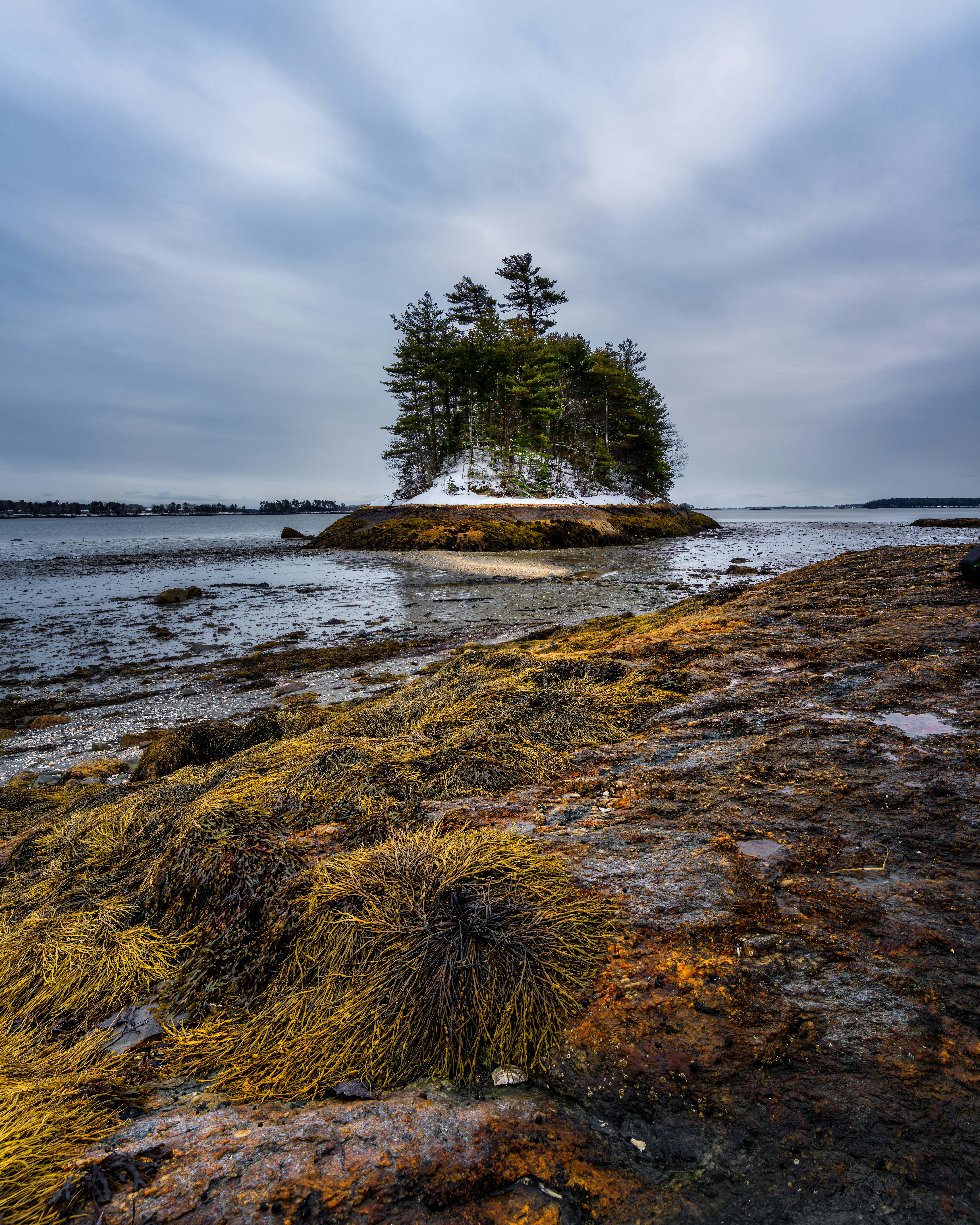 Photo by skylerewing