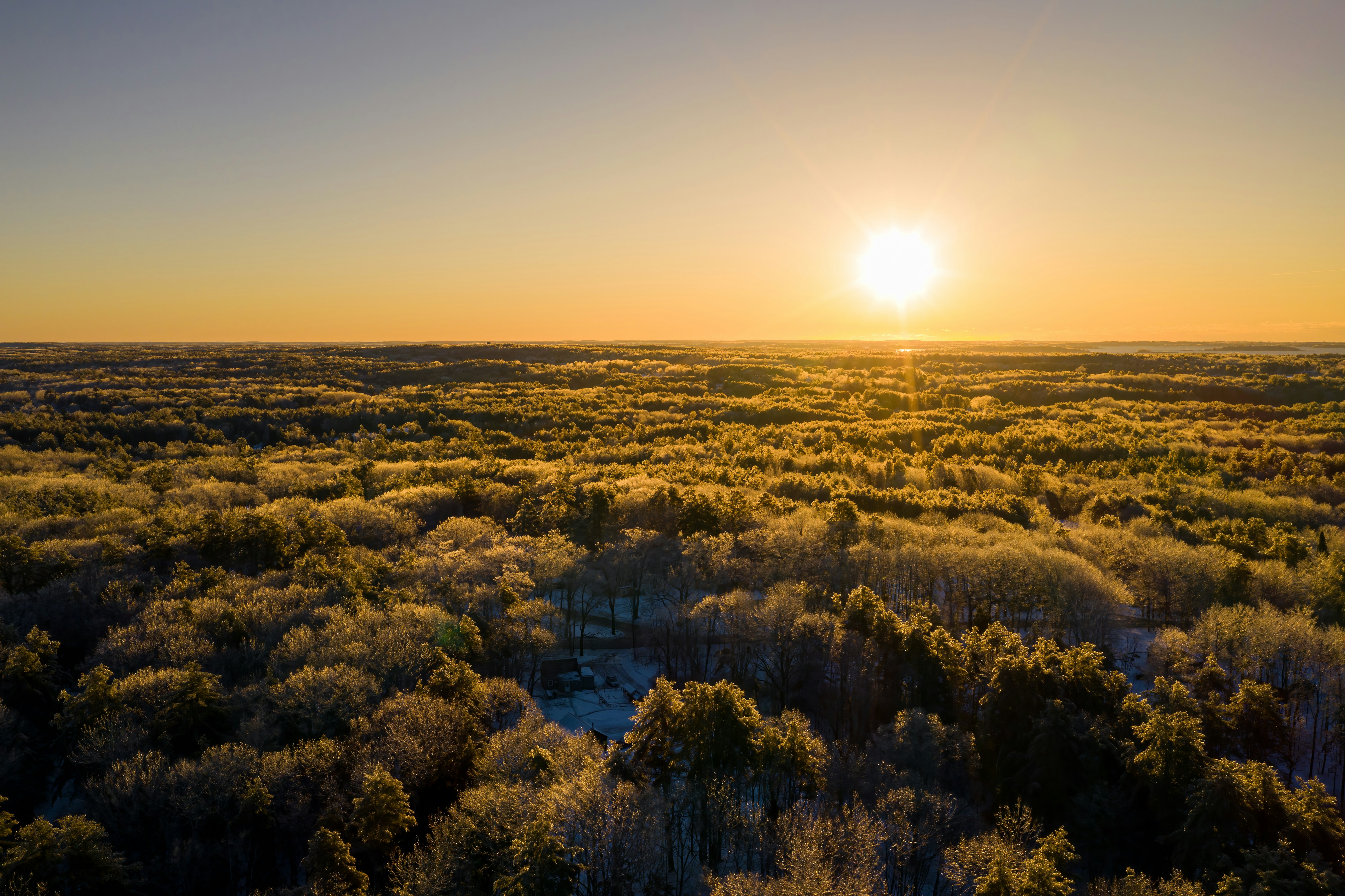 Photo by skylerewing