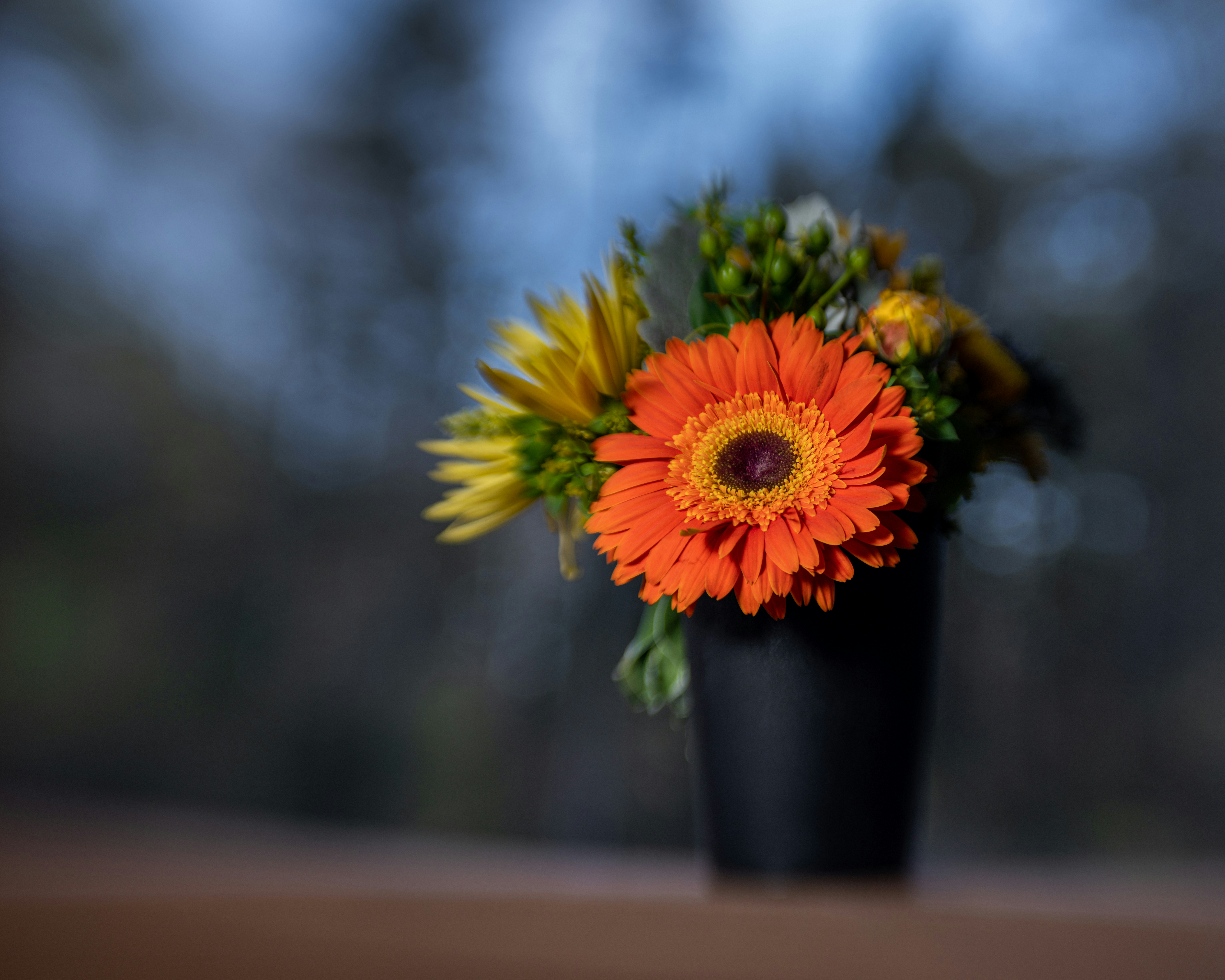 Photo by skylerewing