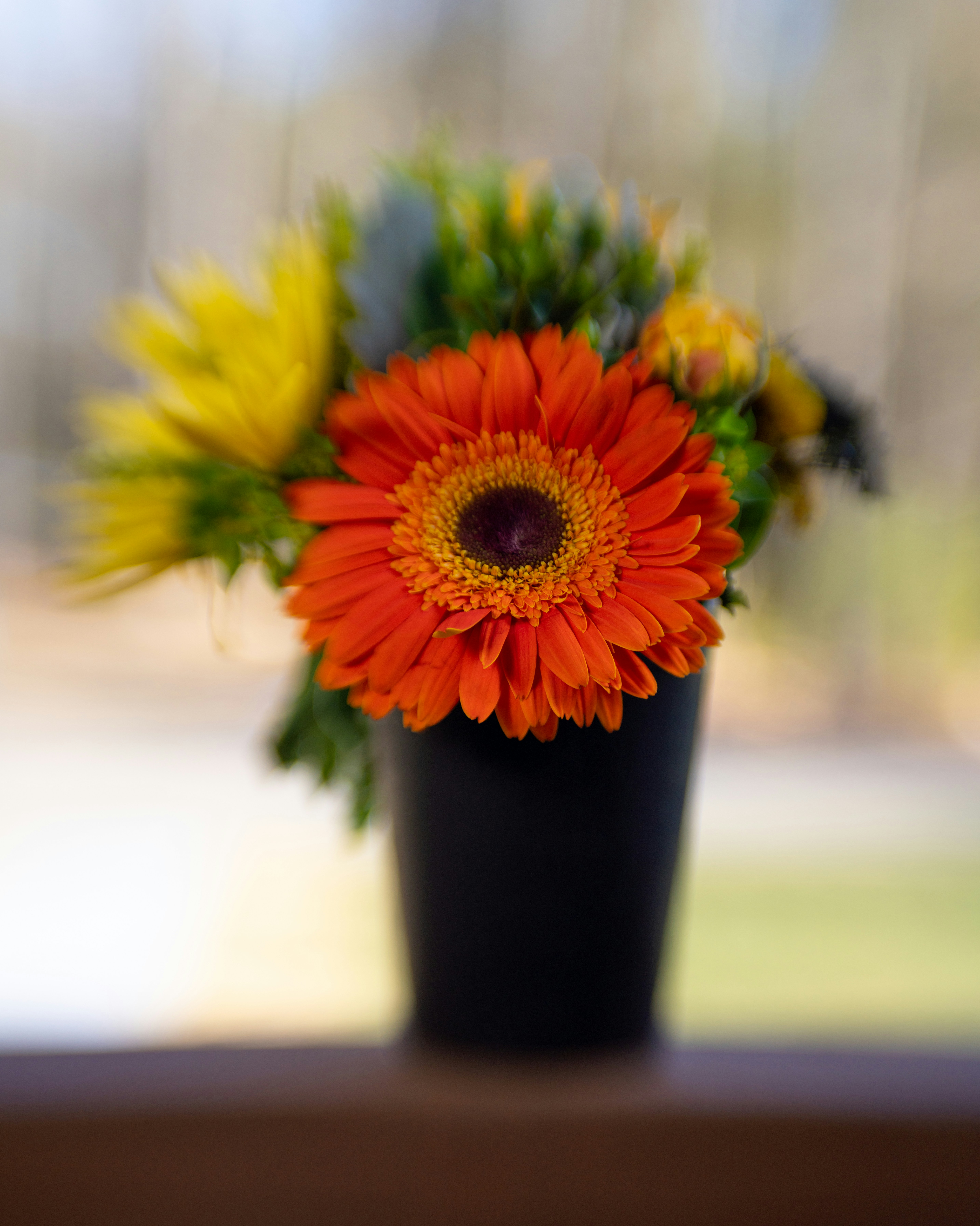 Photo by skylerewing