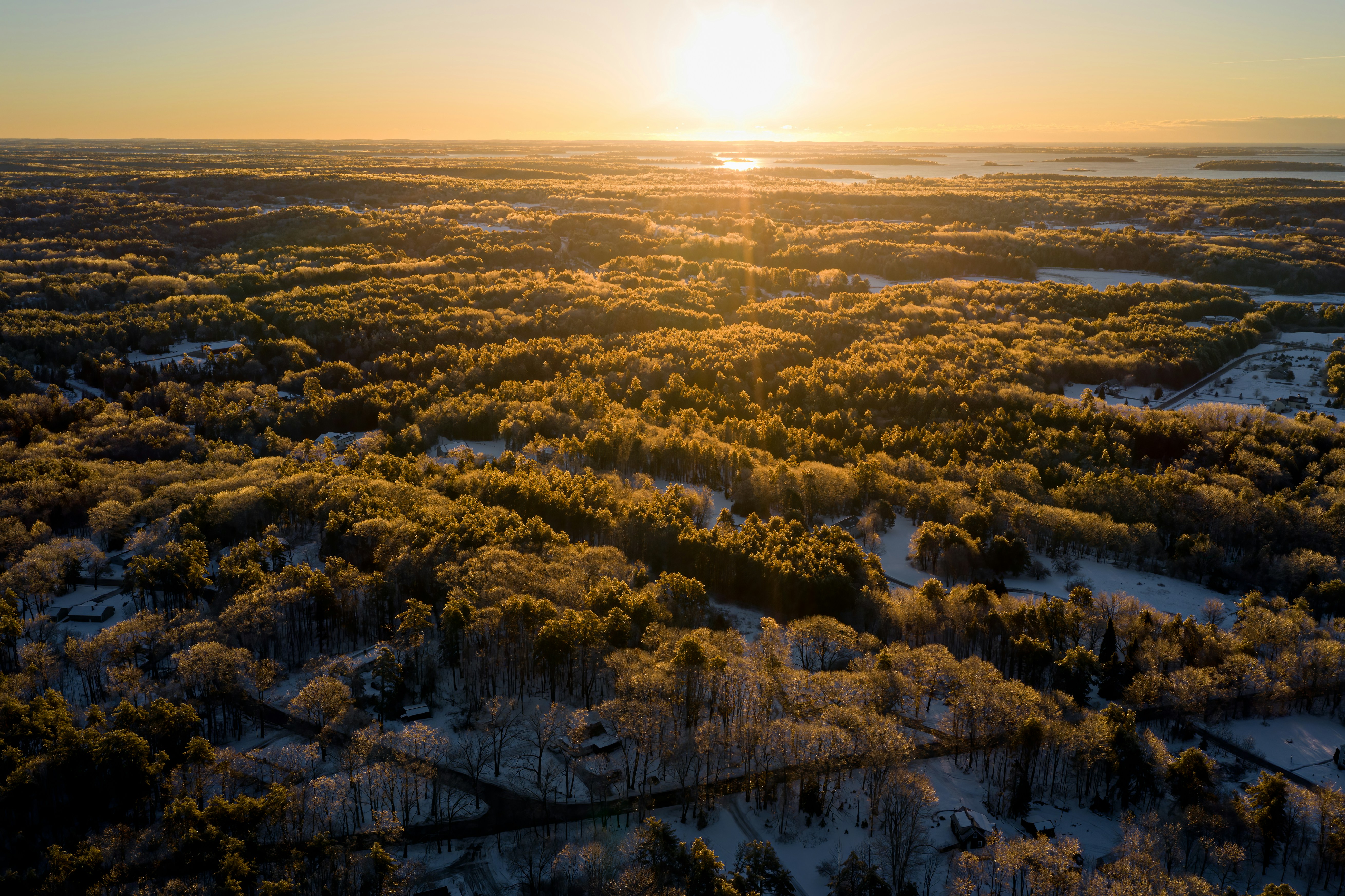 Photo by skylerewing