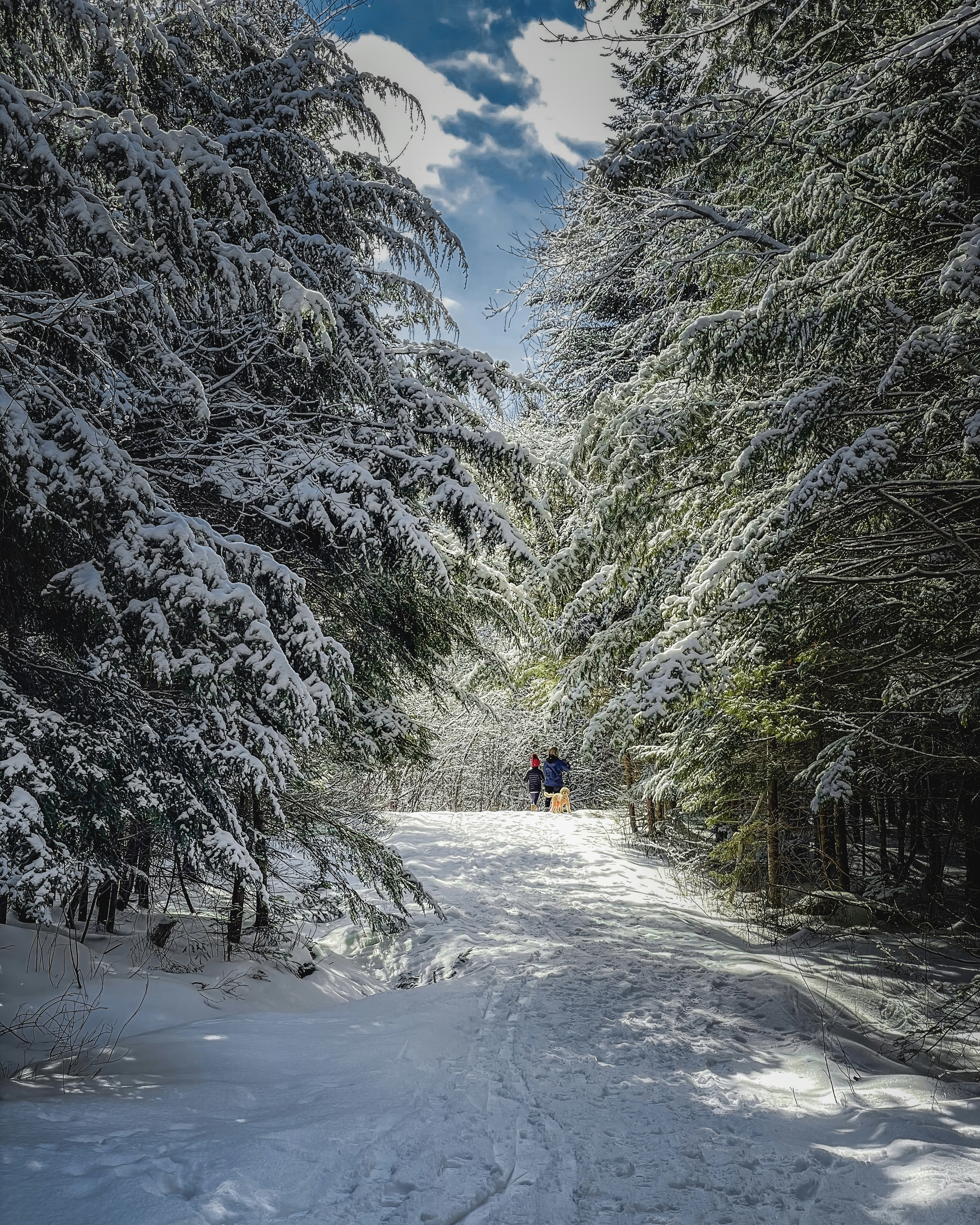 Photo by skylerewing