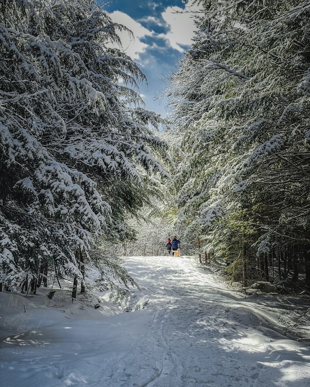 people walking on a snowy road