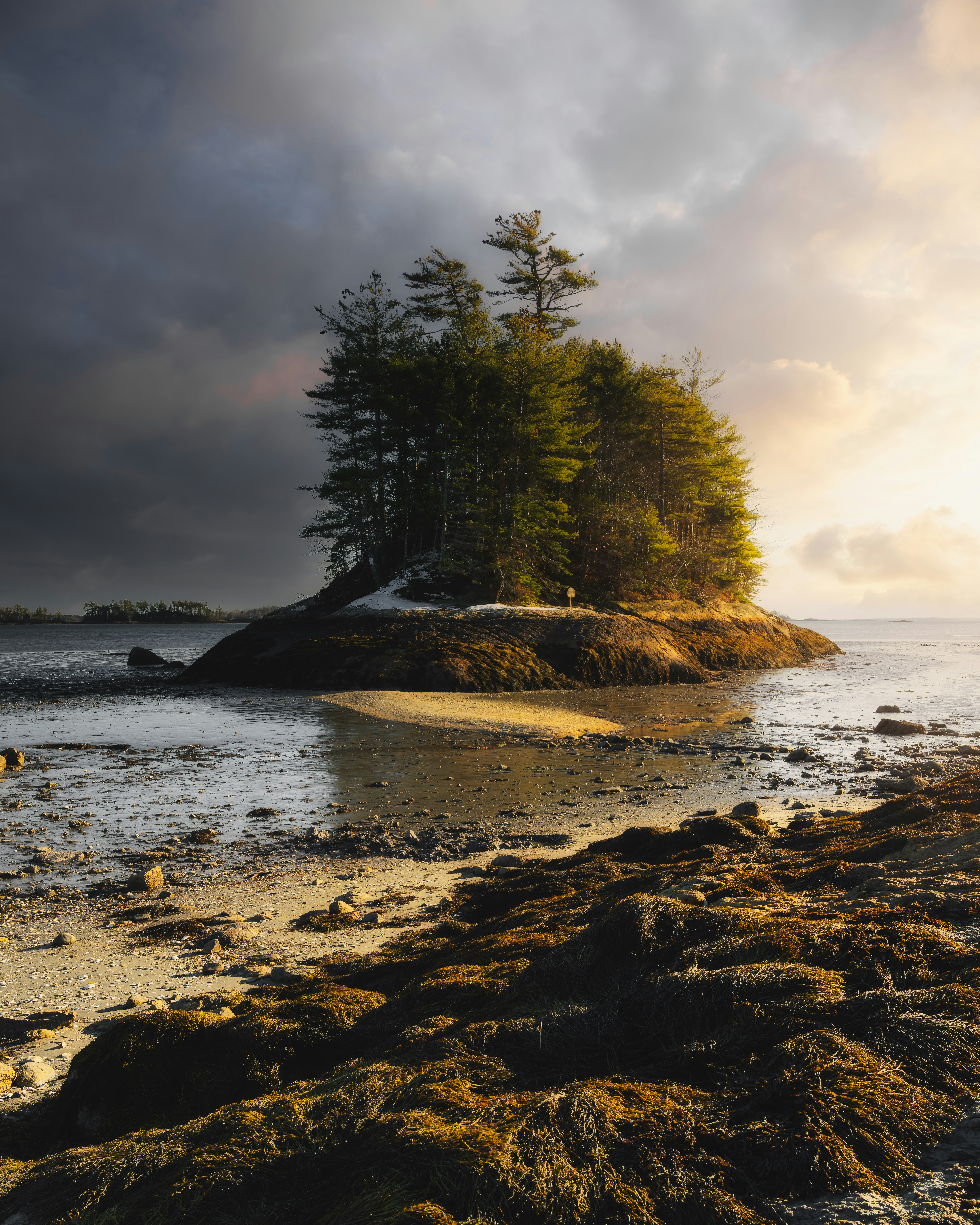 Photo by skylerewing