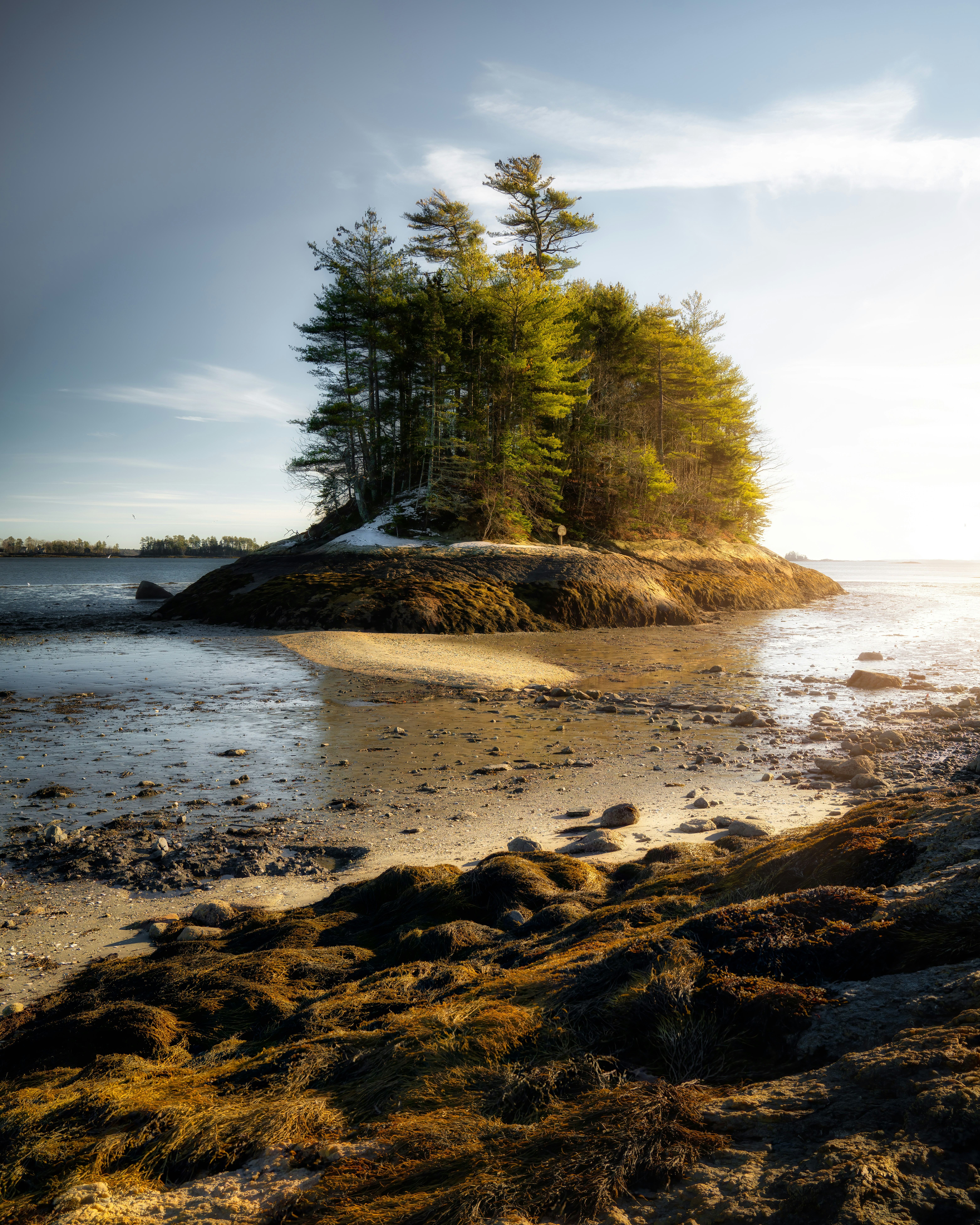 Photo by skylerewing