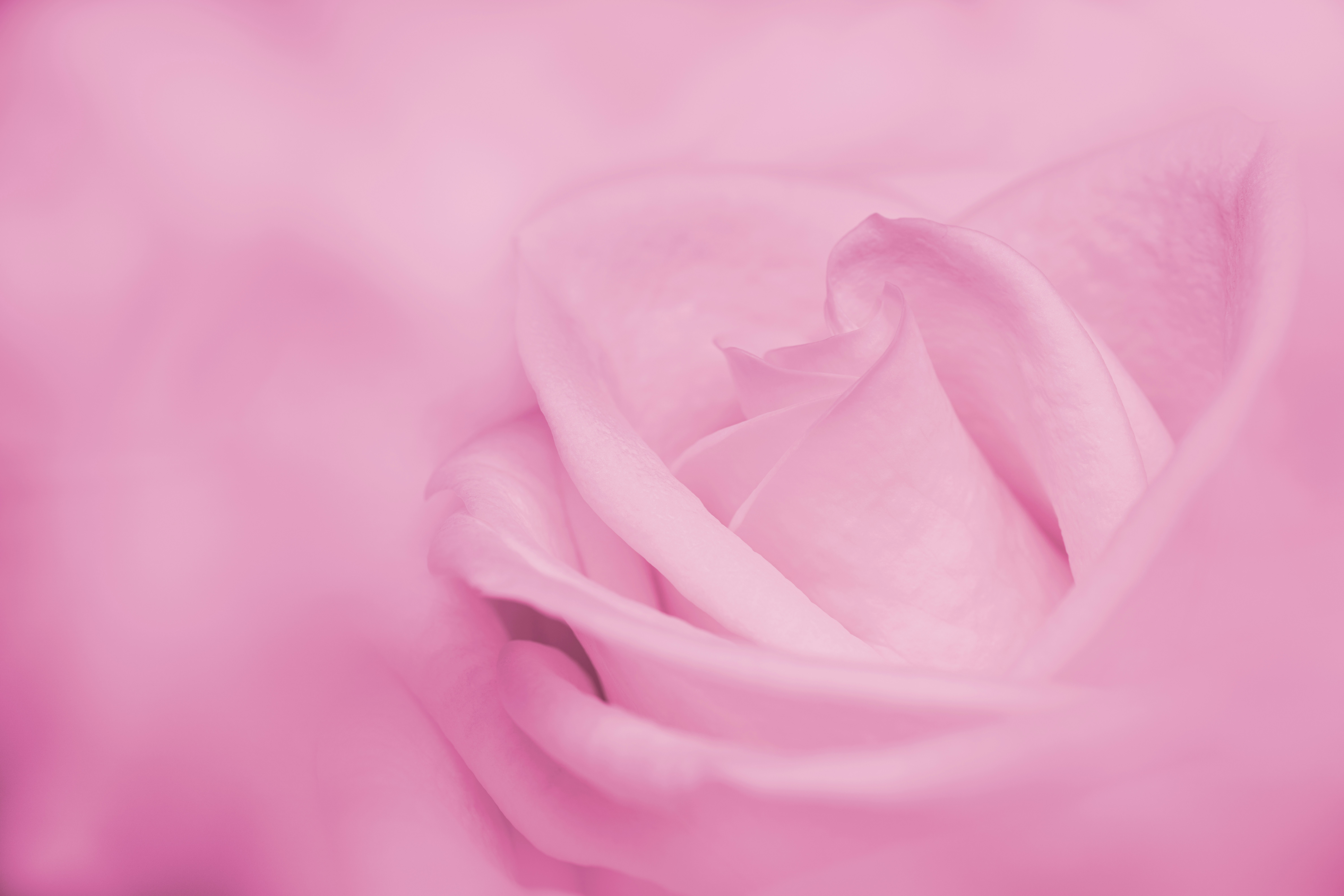 Photo by skylerewing