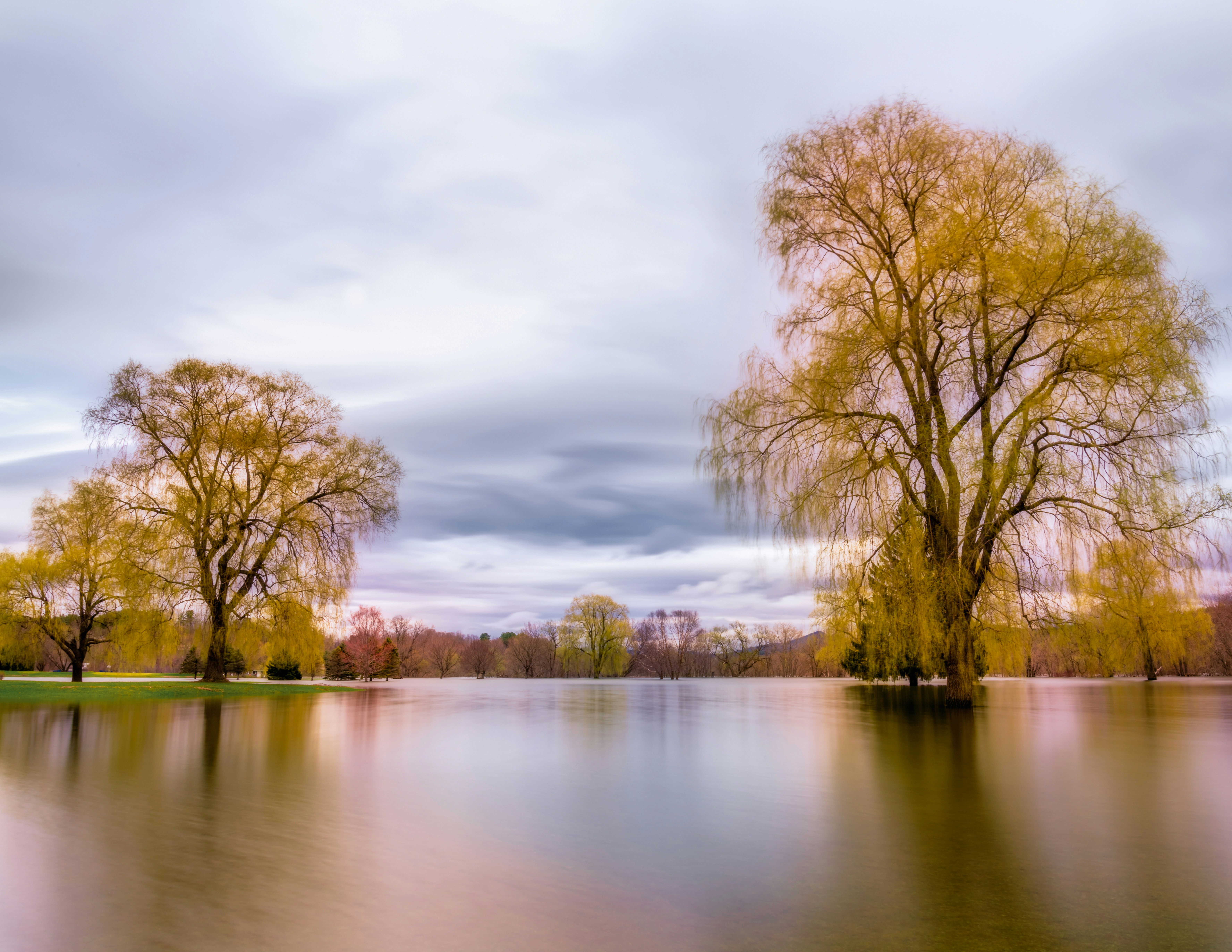 Photo by skylerewing