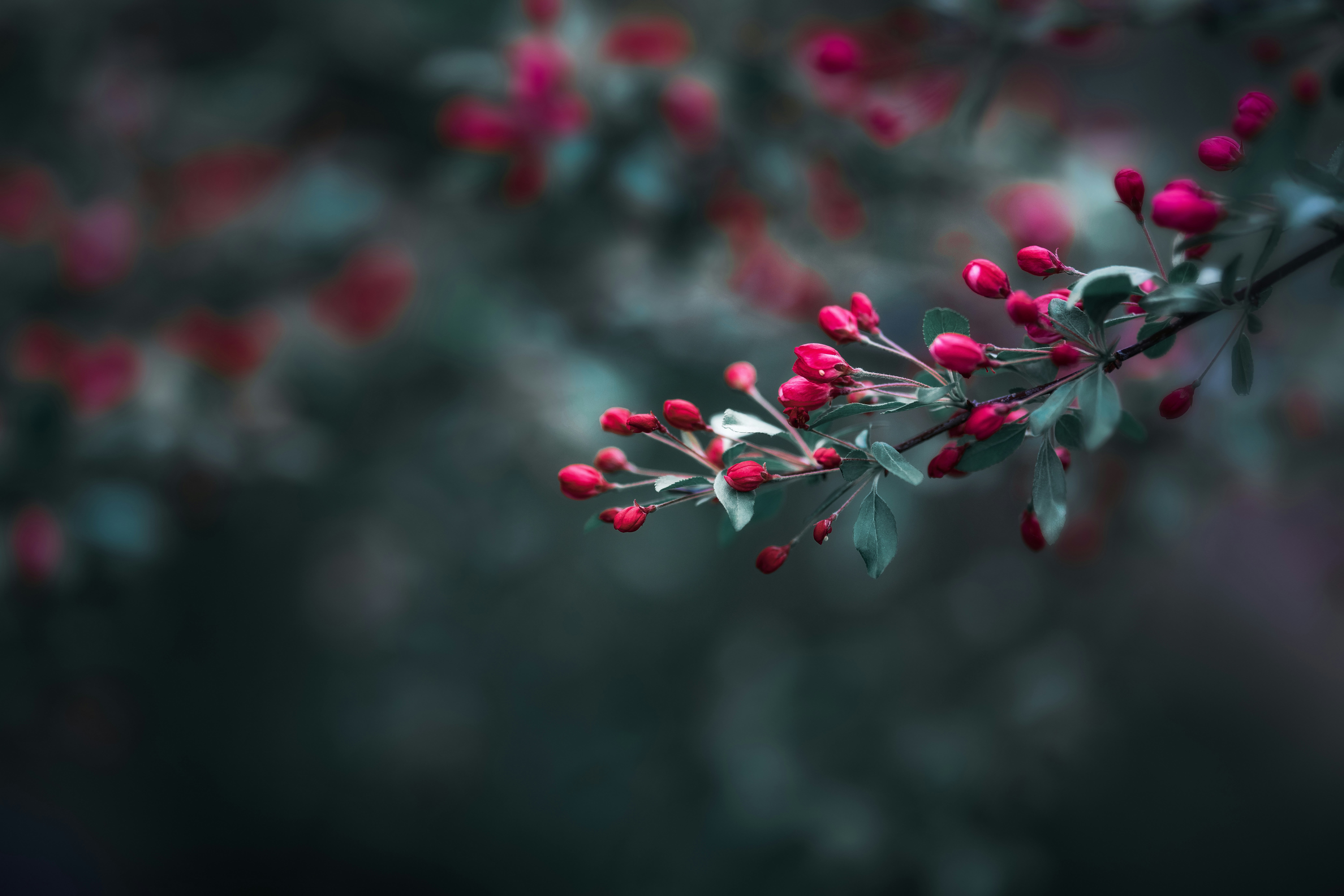 Photo by skylerewing