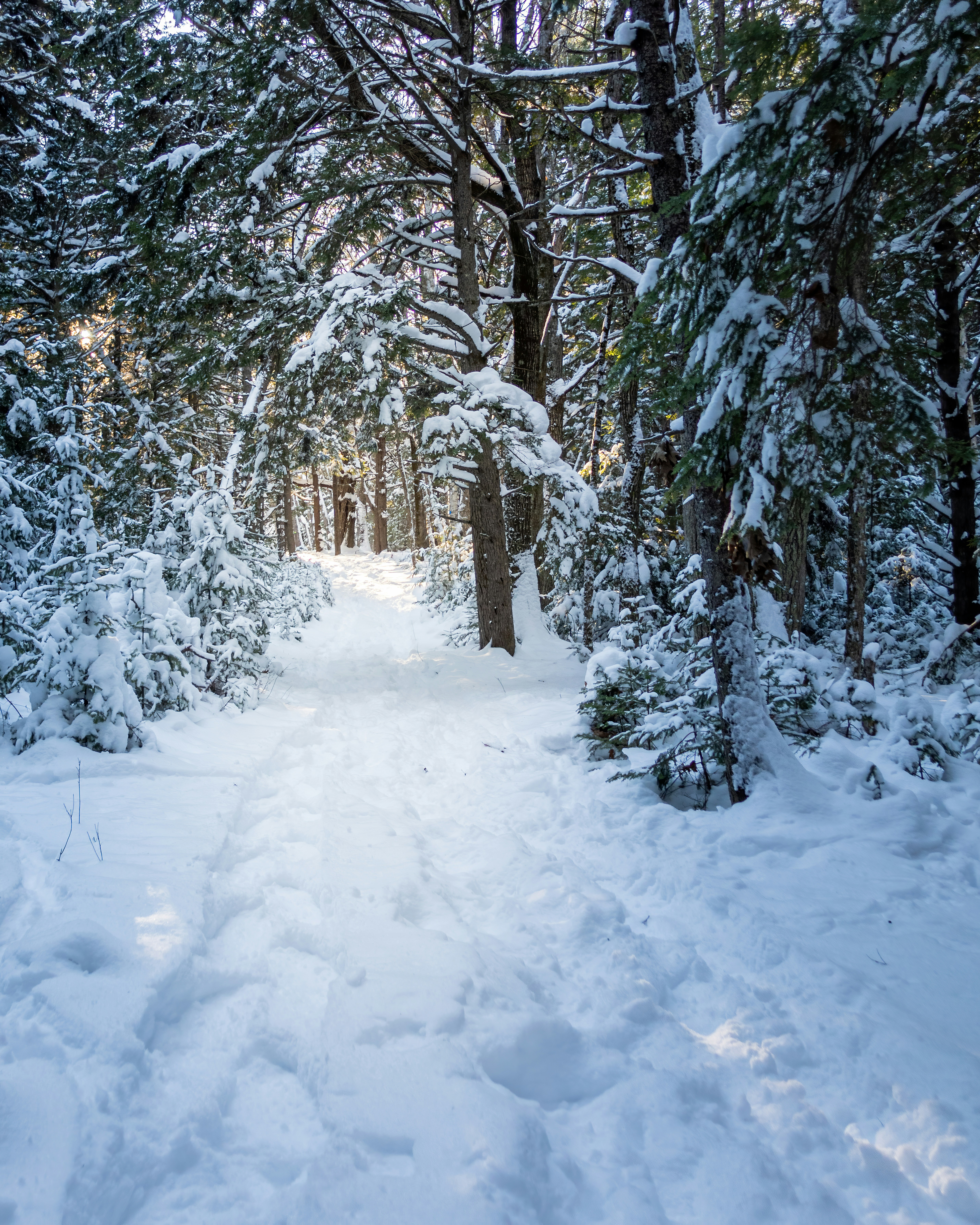 Photo by skylerewing