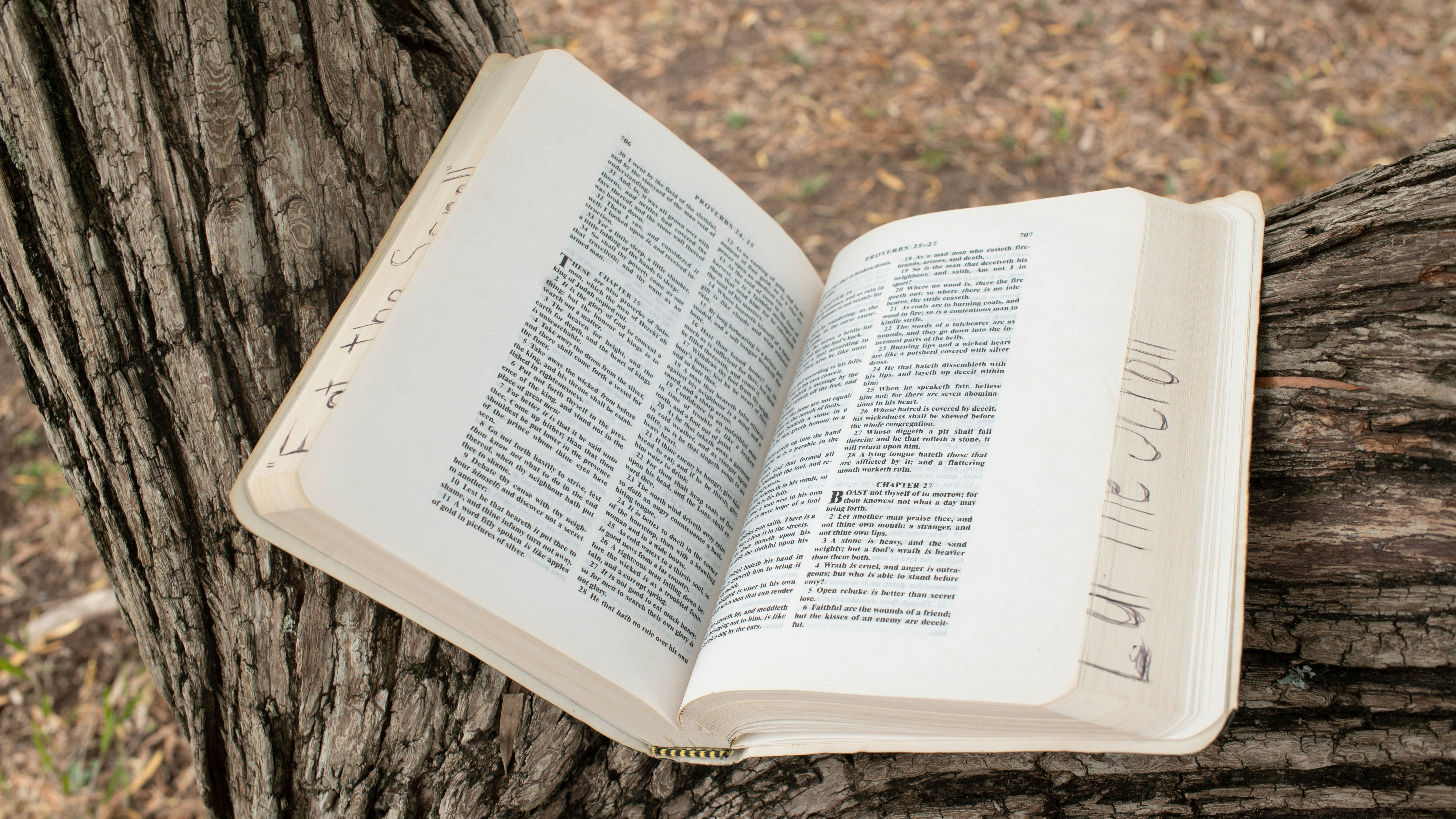 Photo by eliteinception