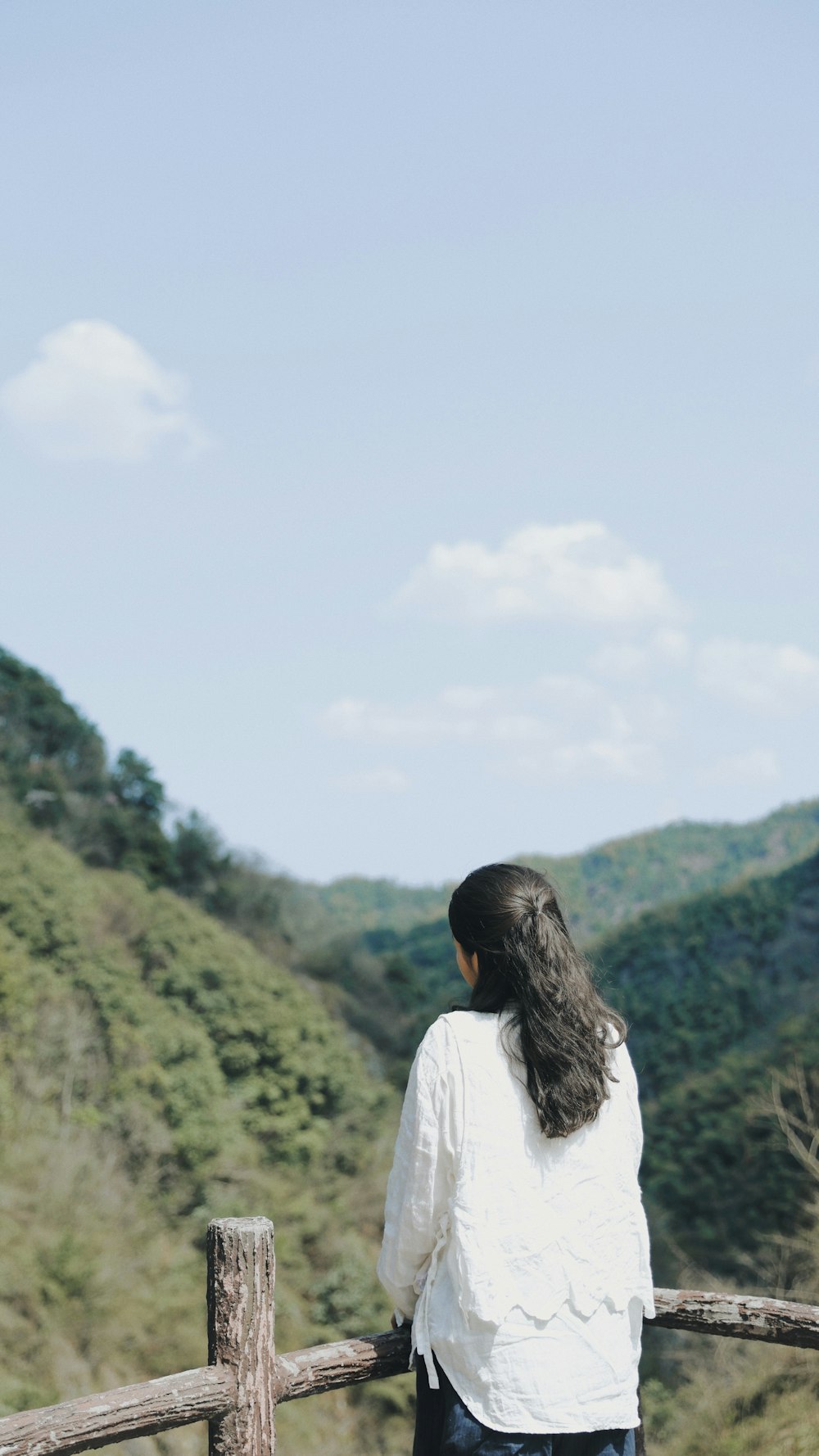 a person standing on a fence looking at a forest