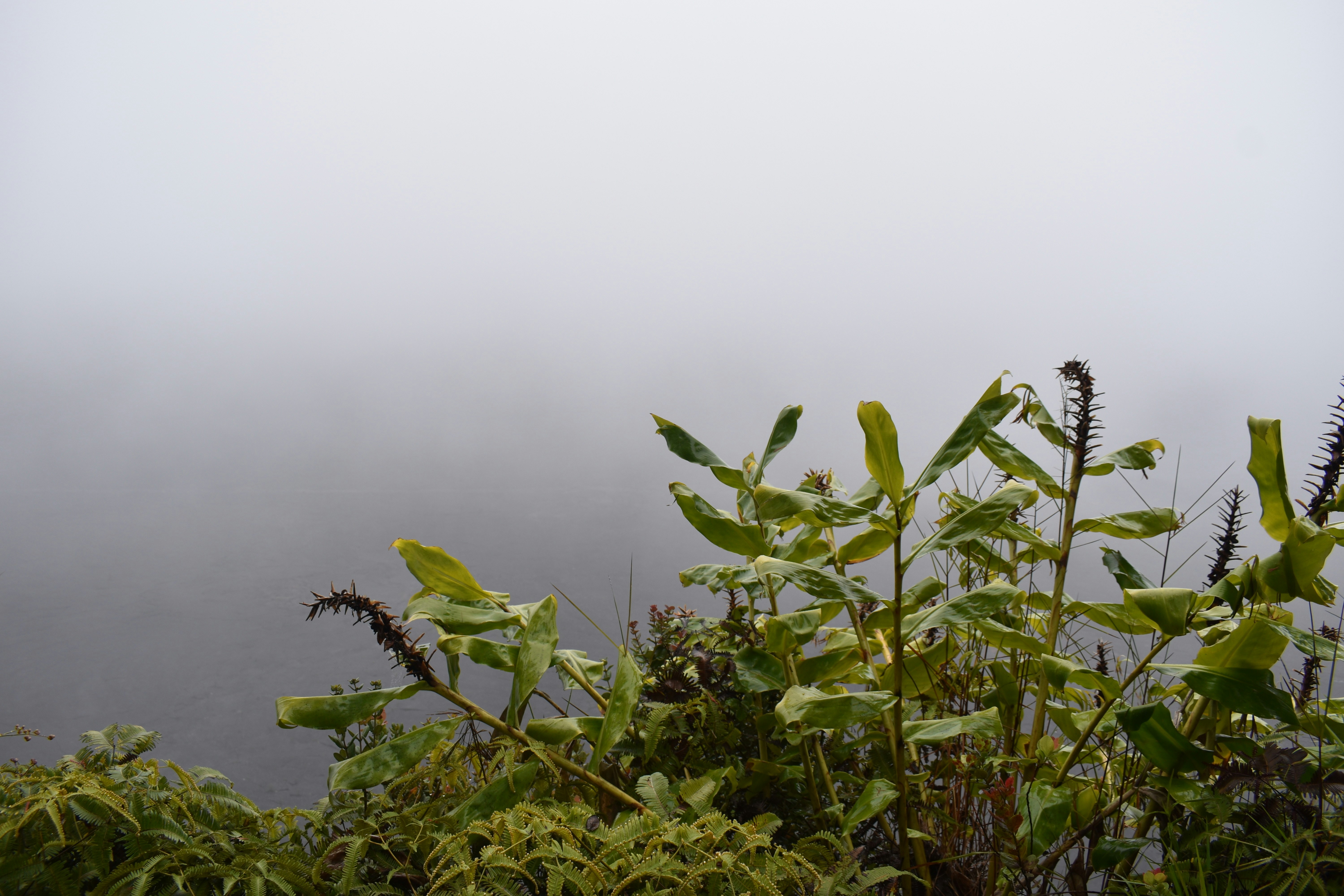 Photo by logan_easterling