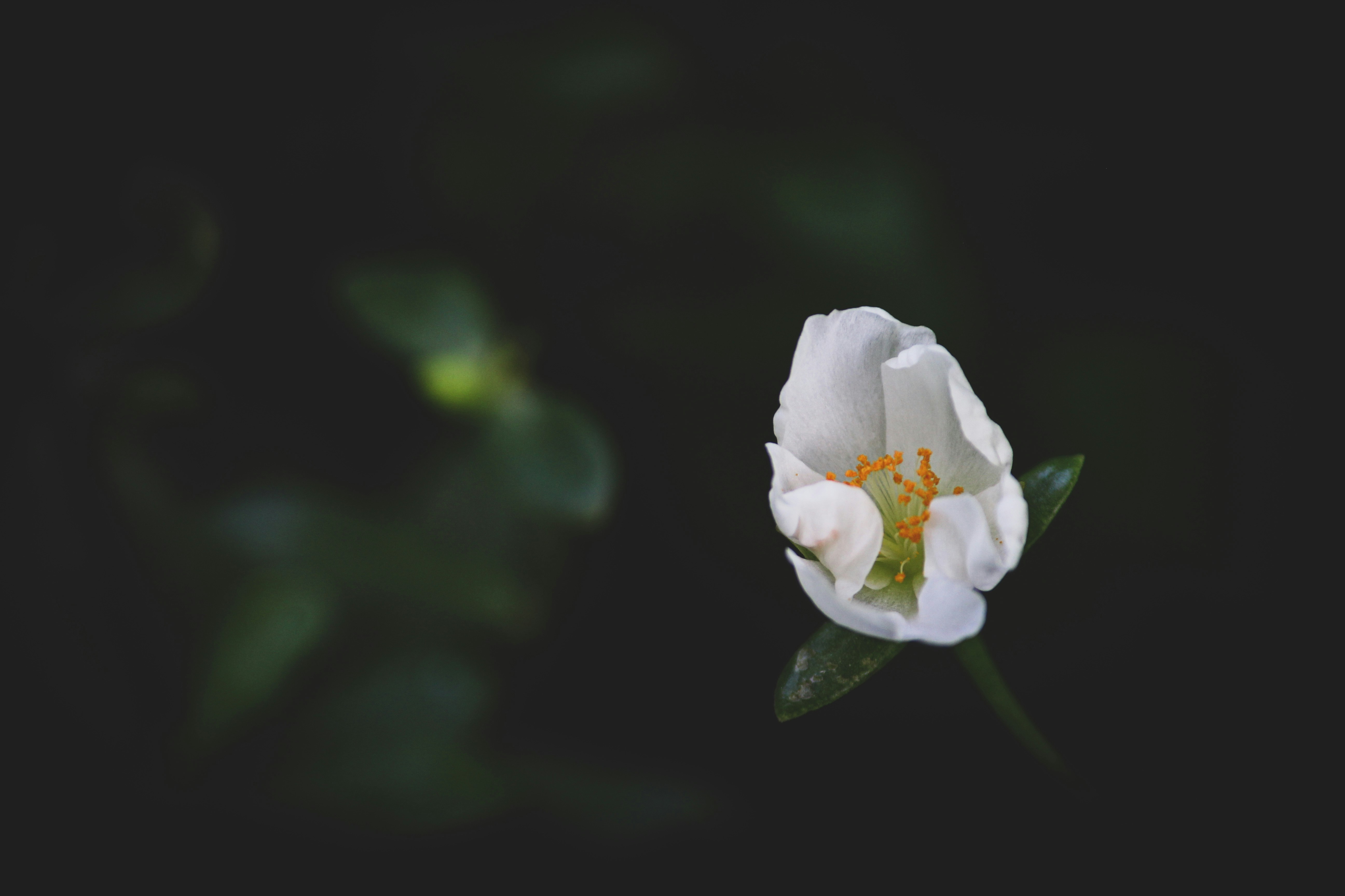 Photo by praveenraj137