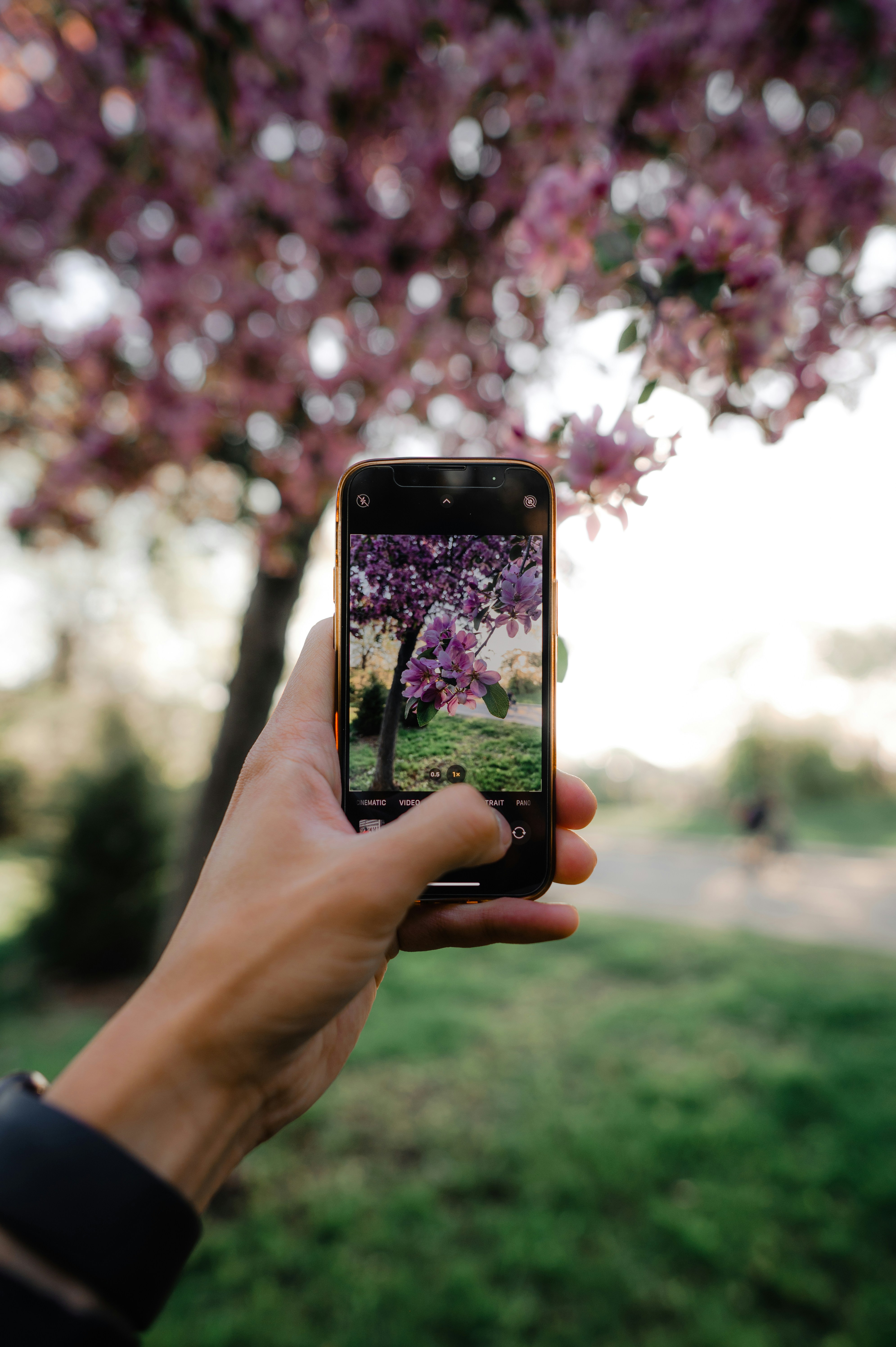 Photo by ryunosuke_kikuno