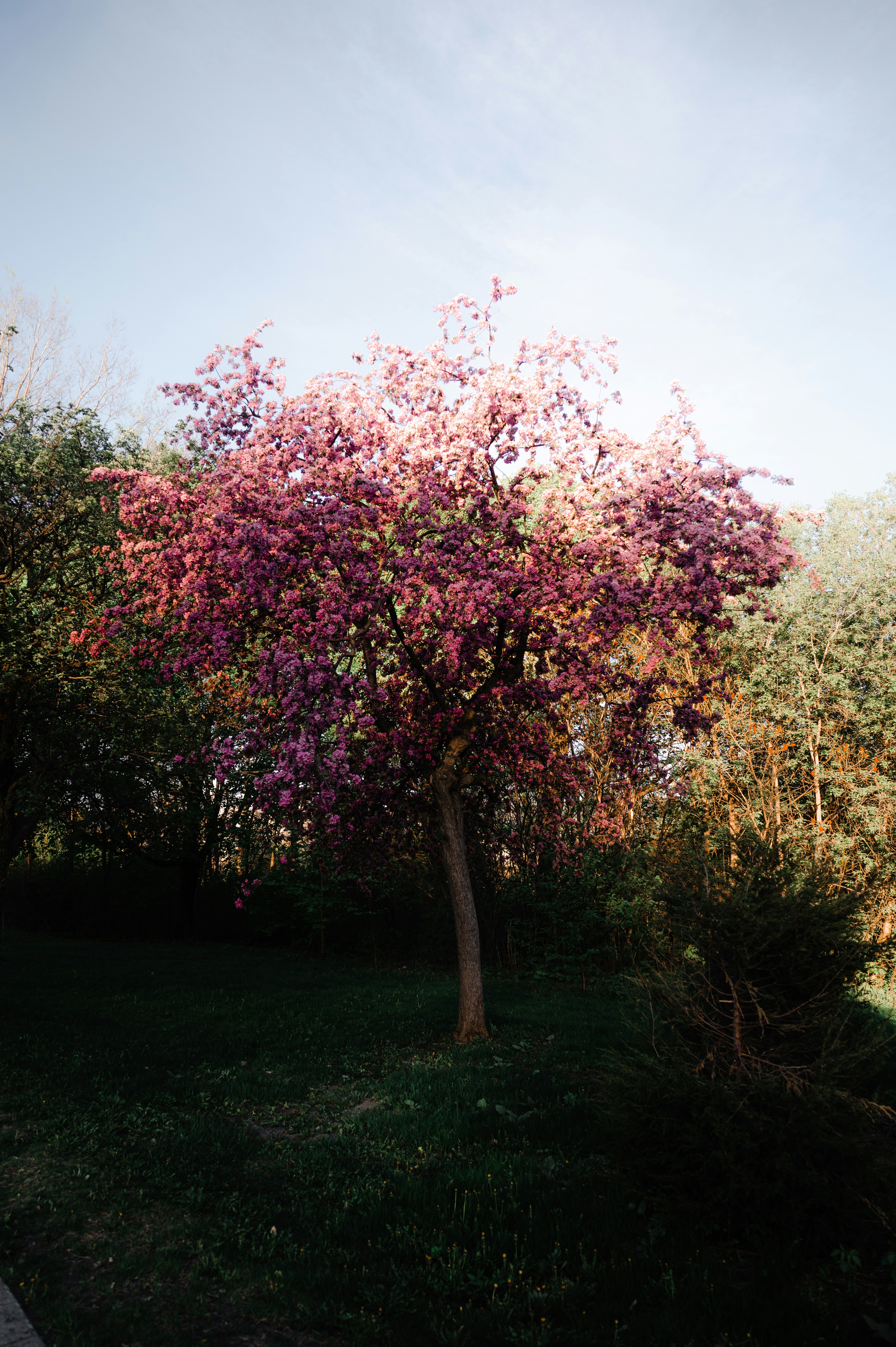 Photo by ryunosuke_kikuno