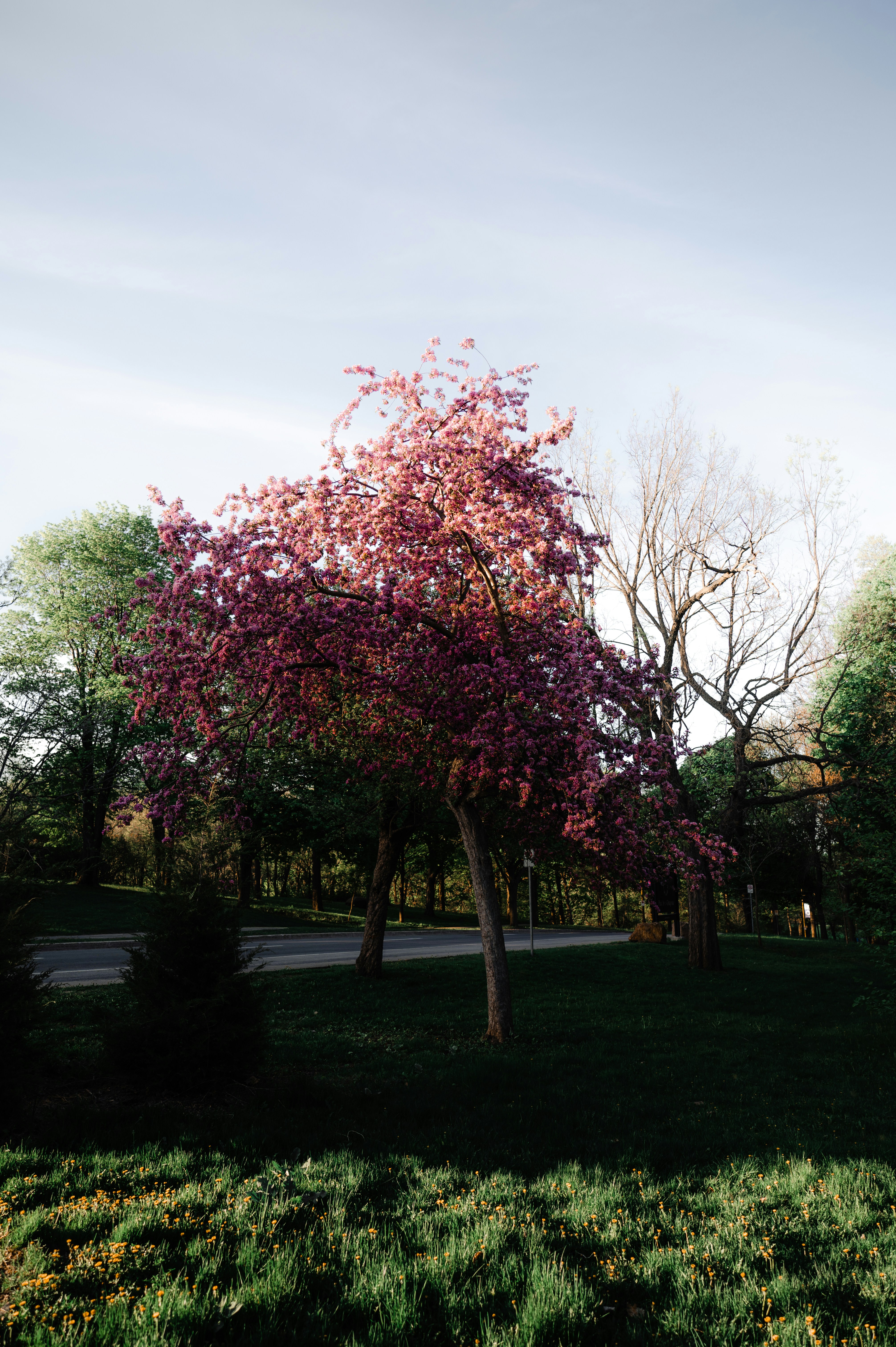 Photo by ryunosuke_kikuno