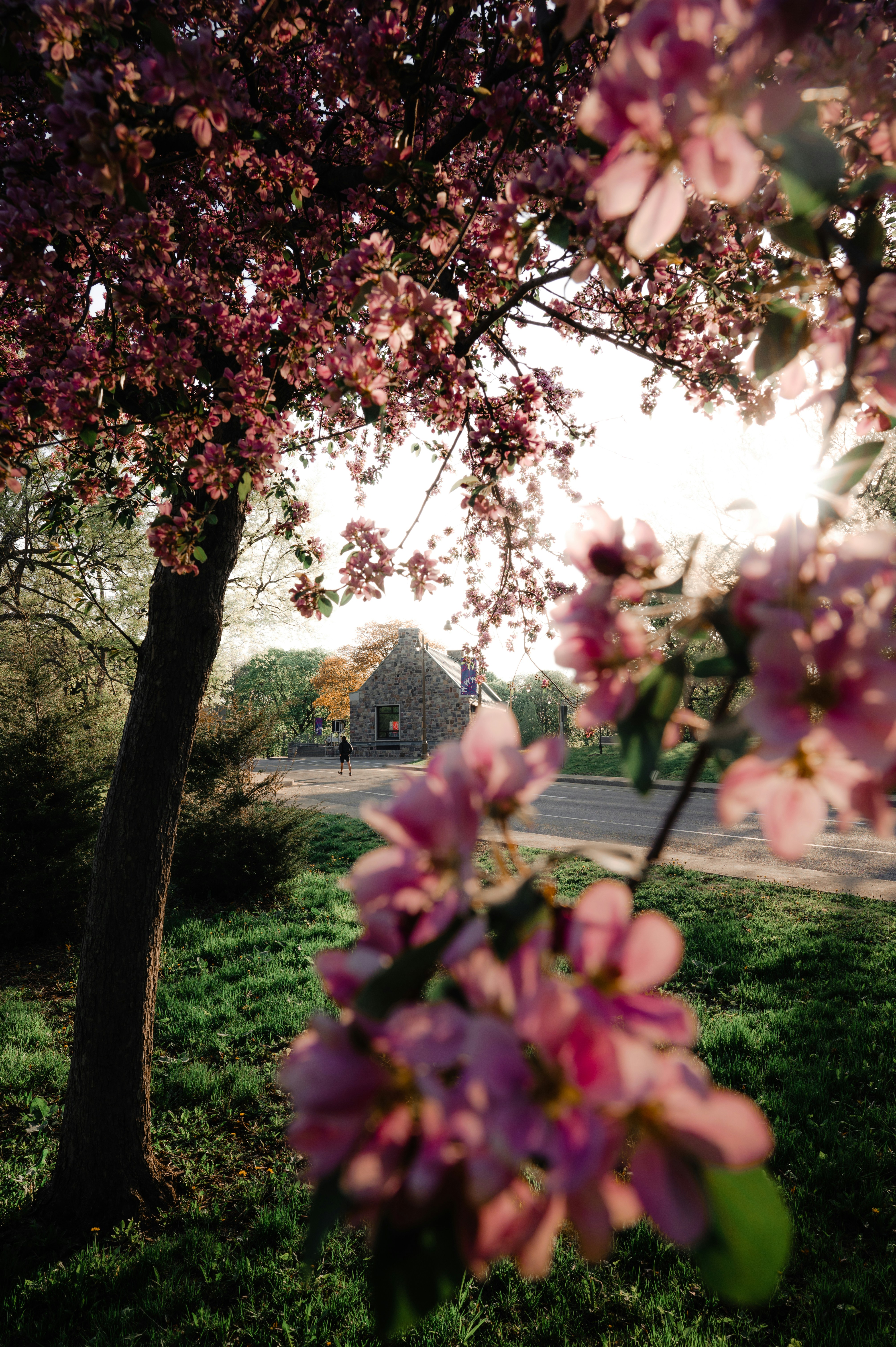 Photo by ryunosuke_kikuno