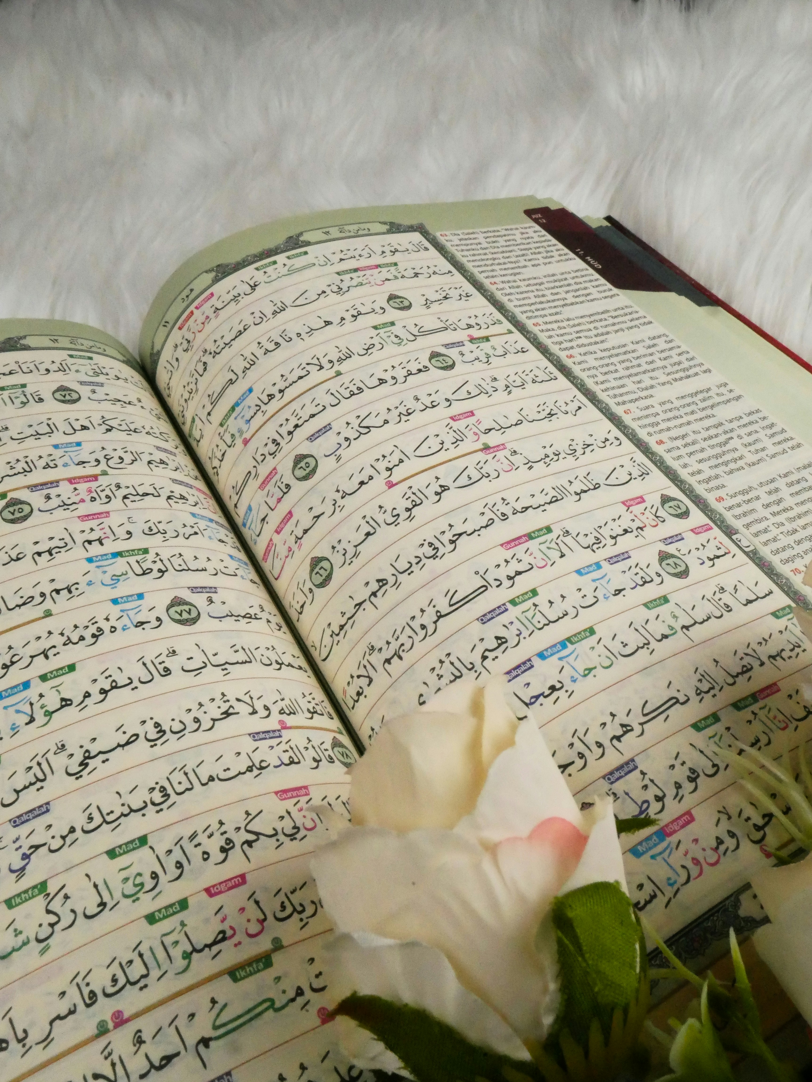 Photo by aqwam_jembatanilmu