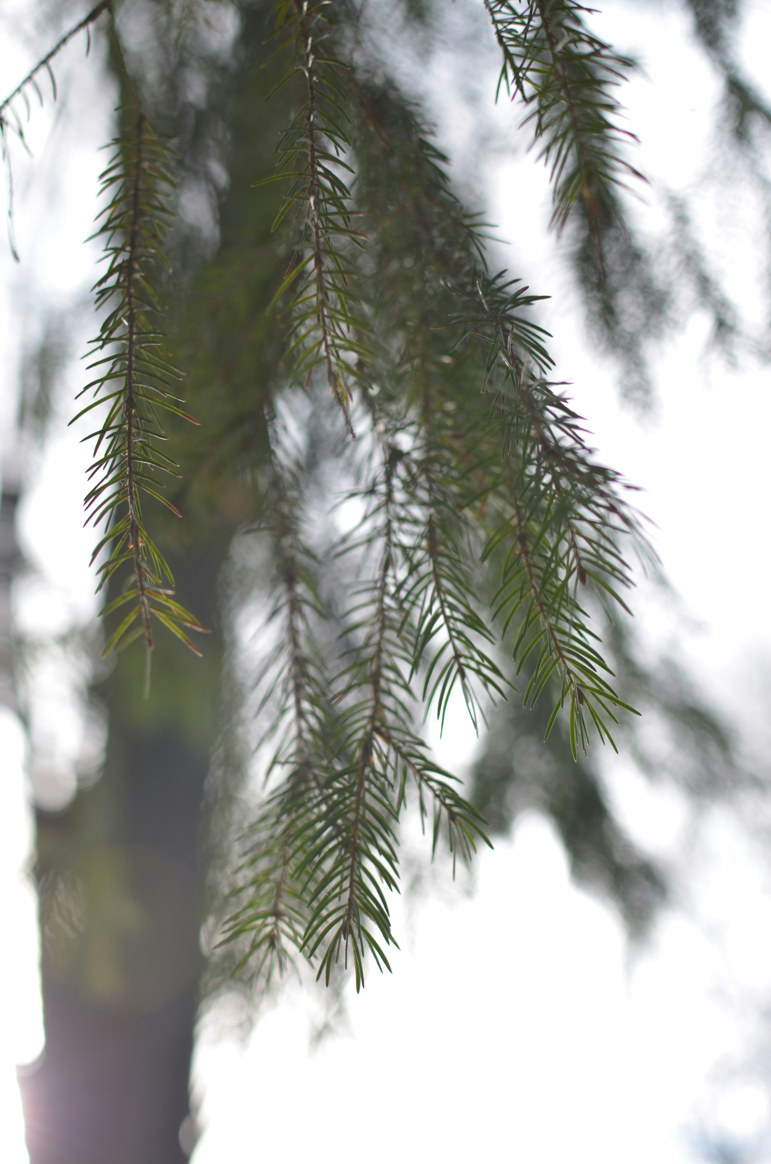 Photo by sergeybuharev