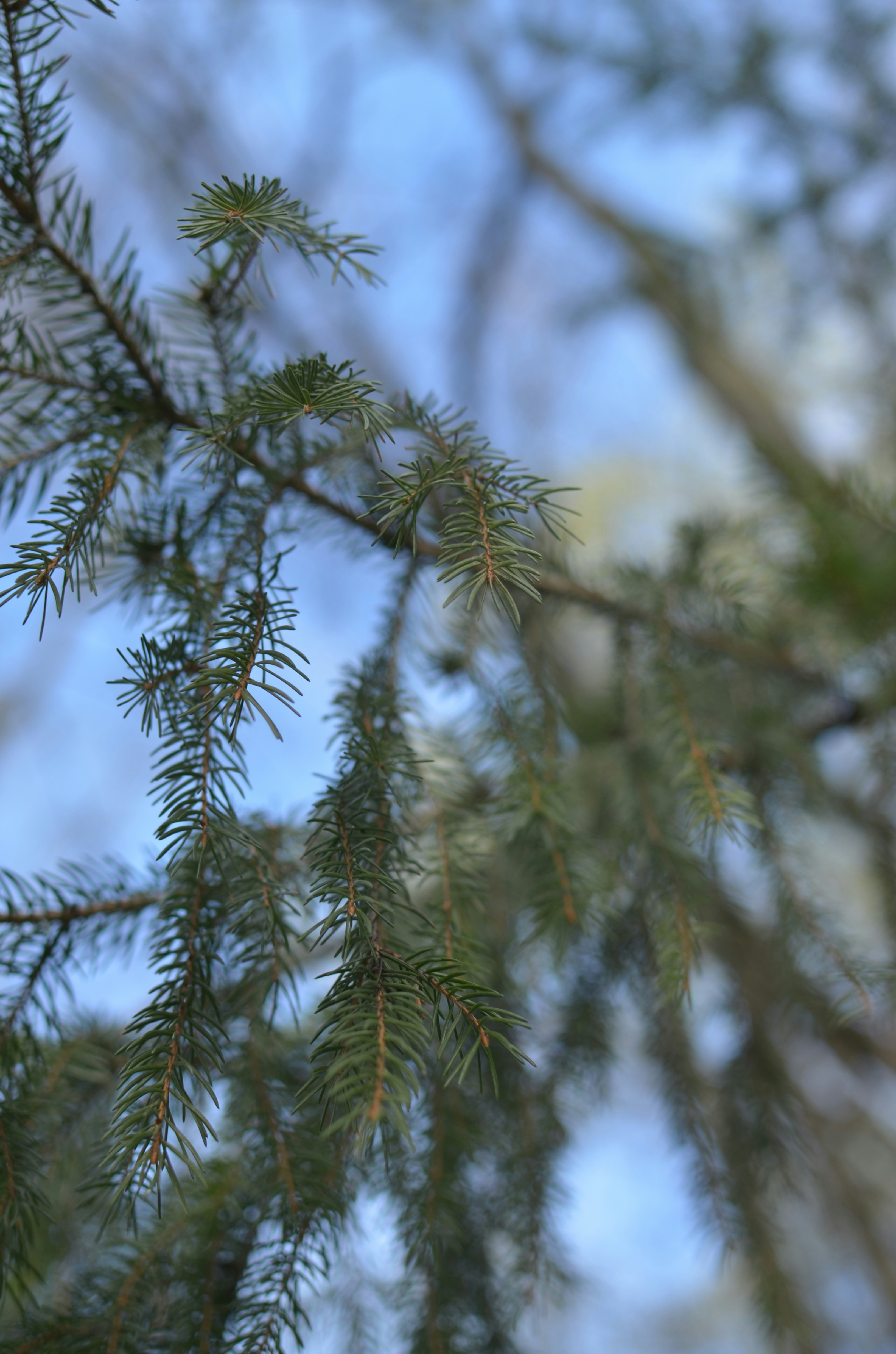 Photo by sergeybuharev