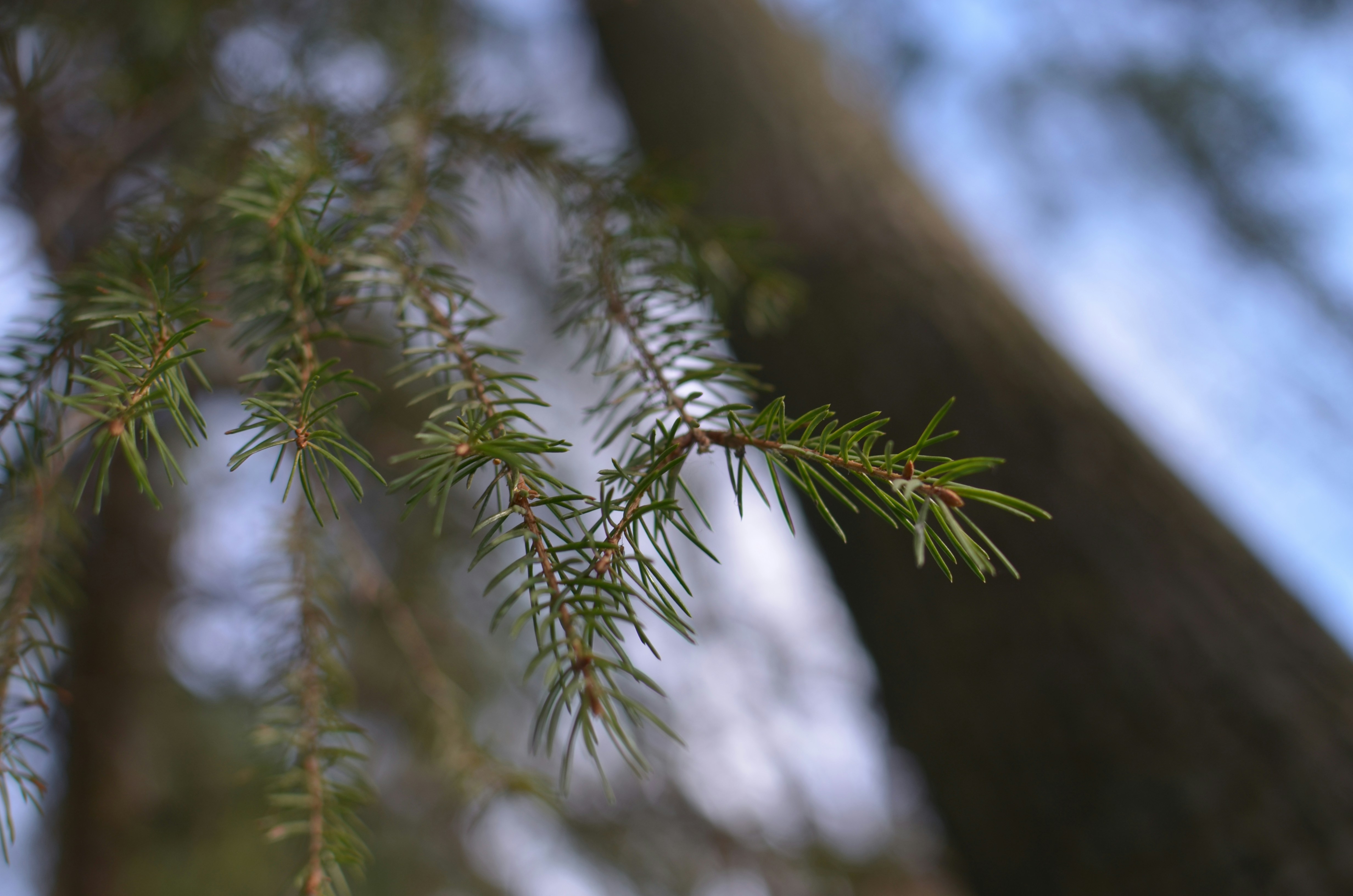 Photo by sergeybuharev