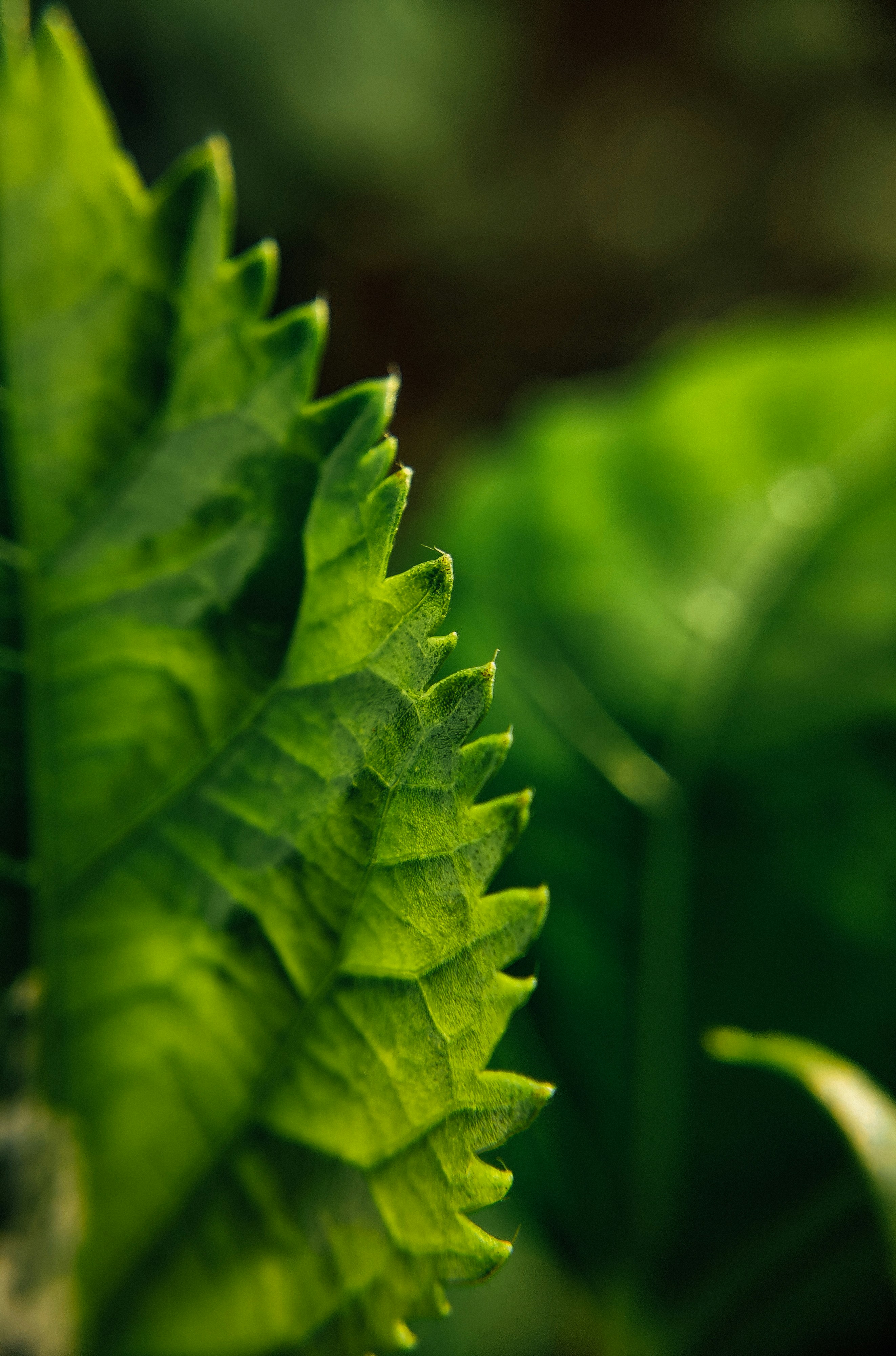 Photo by navi_photography