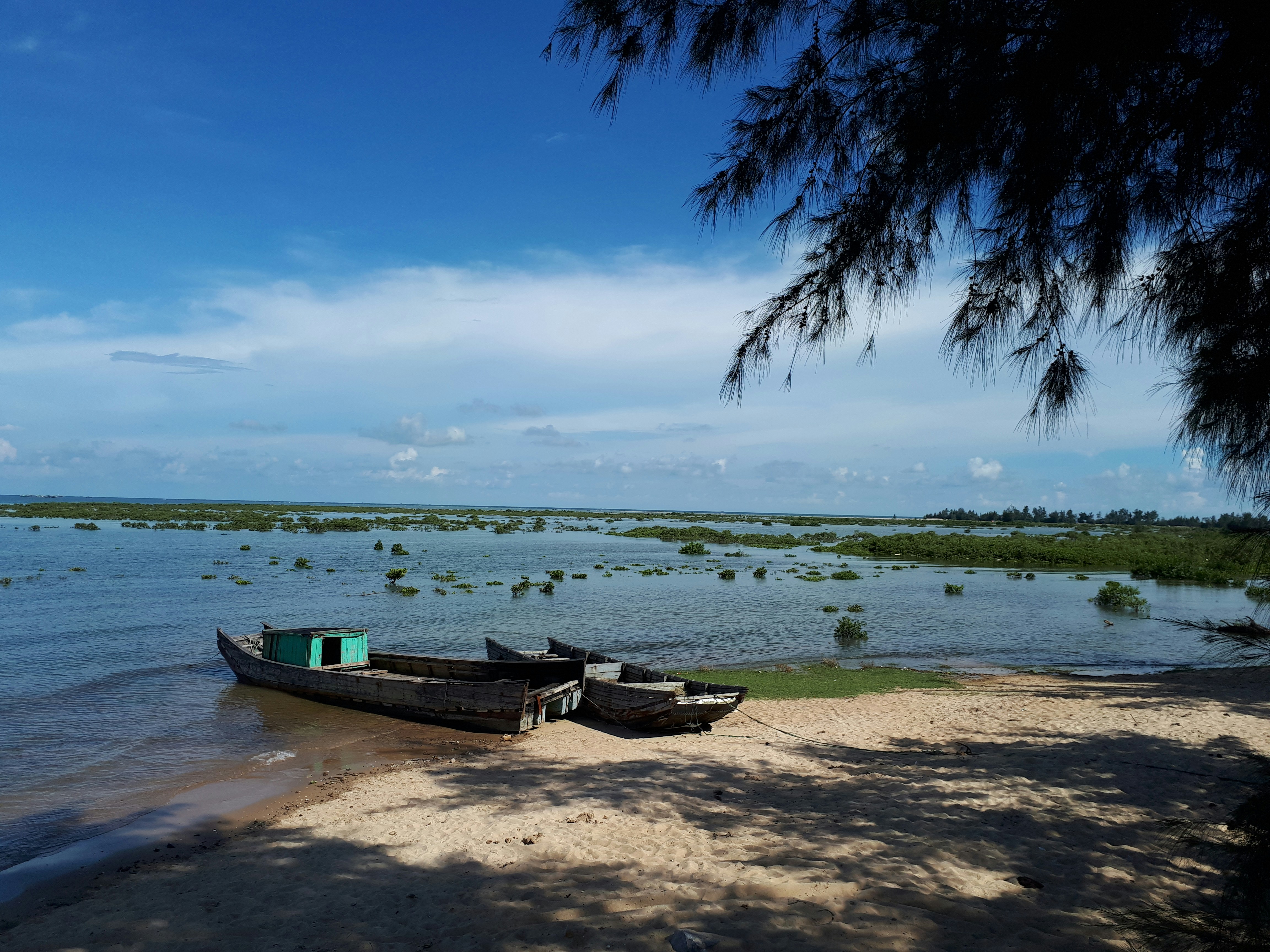 Photo by phuonganh1199