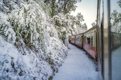 A family enjoying a train ride during a seasonal excursion with scenic views in the background.
