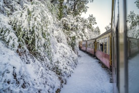 A scenic train ride through a snow-covered landscape, with a train traveling along tracks surrounded by dense trees heavy with snow. Passengers can be seen looking out the windows, and the scene conveys a serene winter atmosphere.