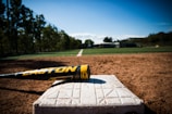 A close-up view of a baseball resting on a base on a dirt field, with the green outfield and trees in the background under a clear blue sky. The bat is prominently labeled with a brand name.