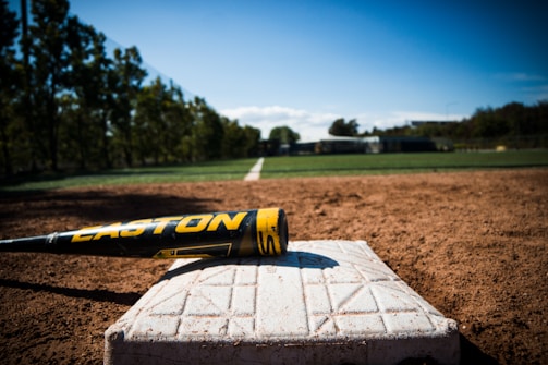 A close-up view of a baseball resting on a base on a dirt field, with the green outfield and trees in the background under a clear blue sky. The bat is prominently labeled with a brand name.