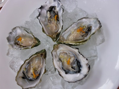A beautifully arranged platter of fresh oysters on ice.