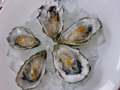 Artful arrangement of fresh oysters and shellfish on crushed ice, highlighted by subtle silver reflections.