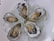 Five fresh oysters are arranged on a bed of crushed ice, garnished with small orange and green herbs. The oysters' pearlescent shells and the translucent ice create a refreshing and appetizing presentation.