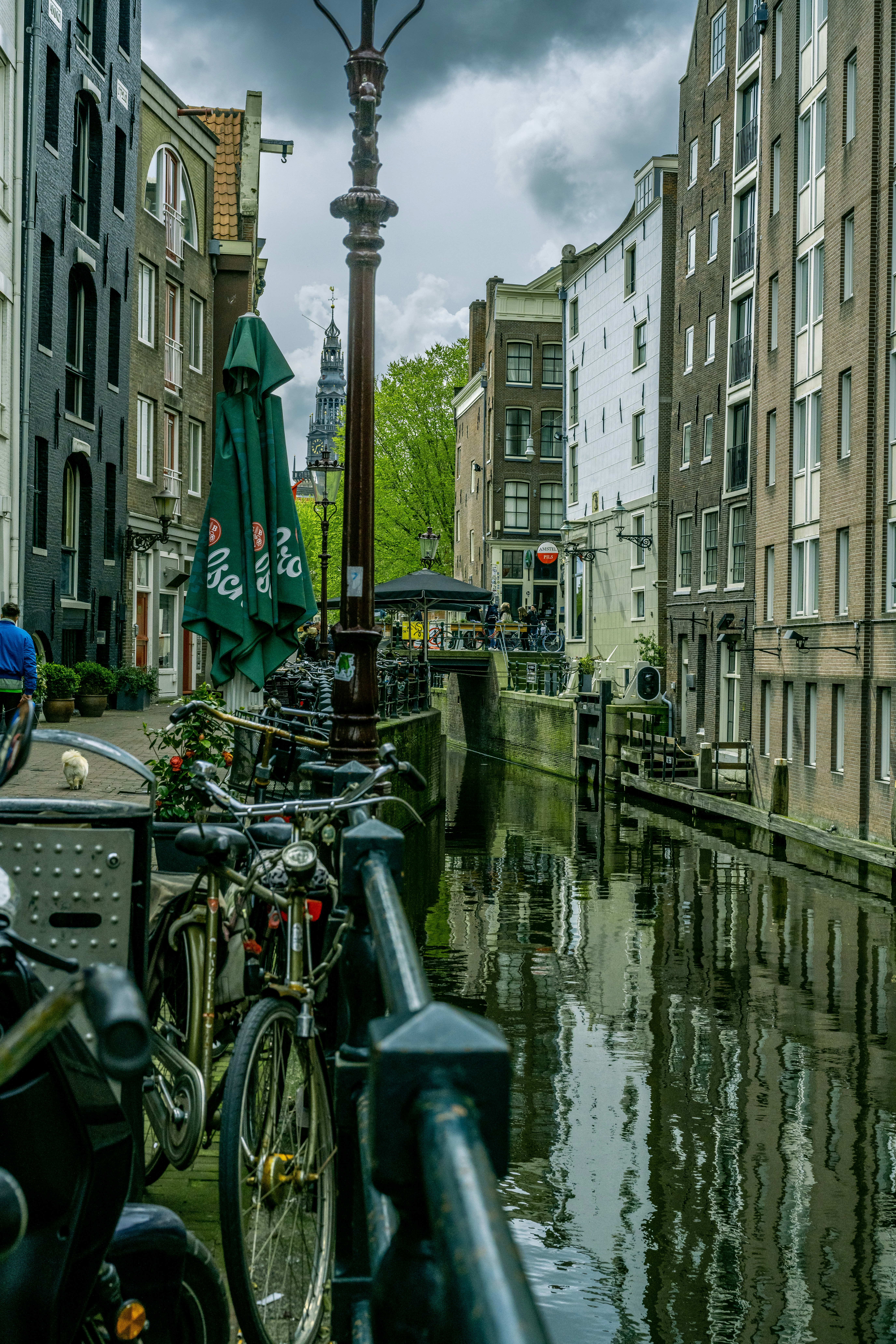 bicycles parked on a sidewalk