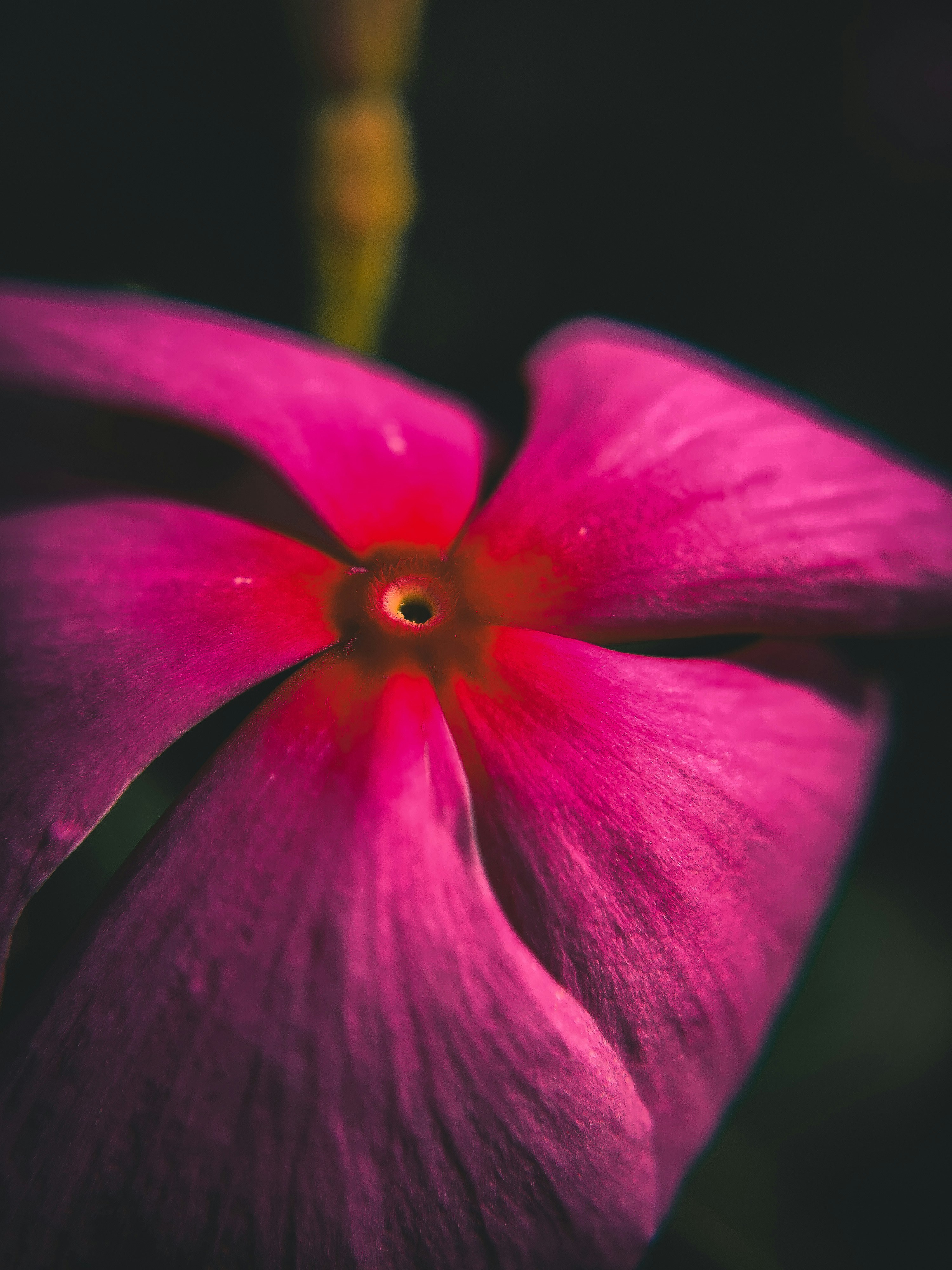 Photo by navi_photography