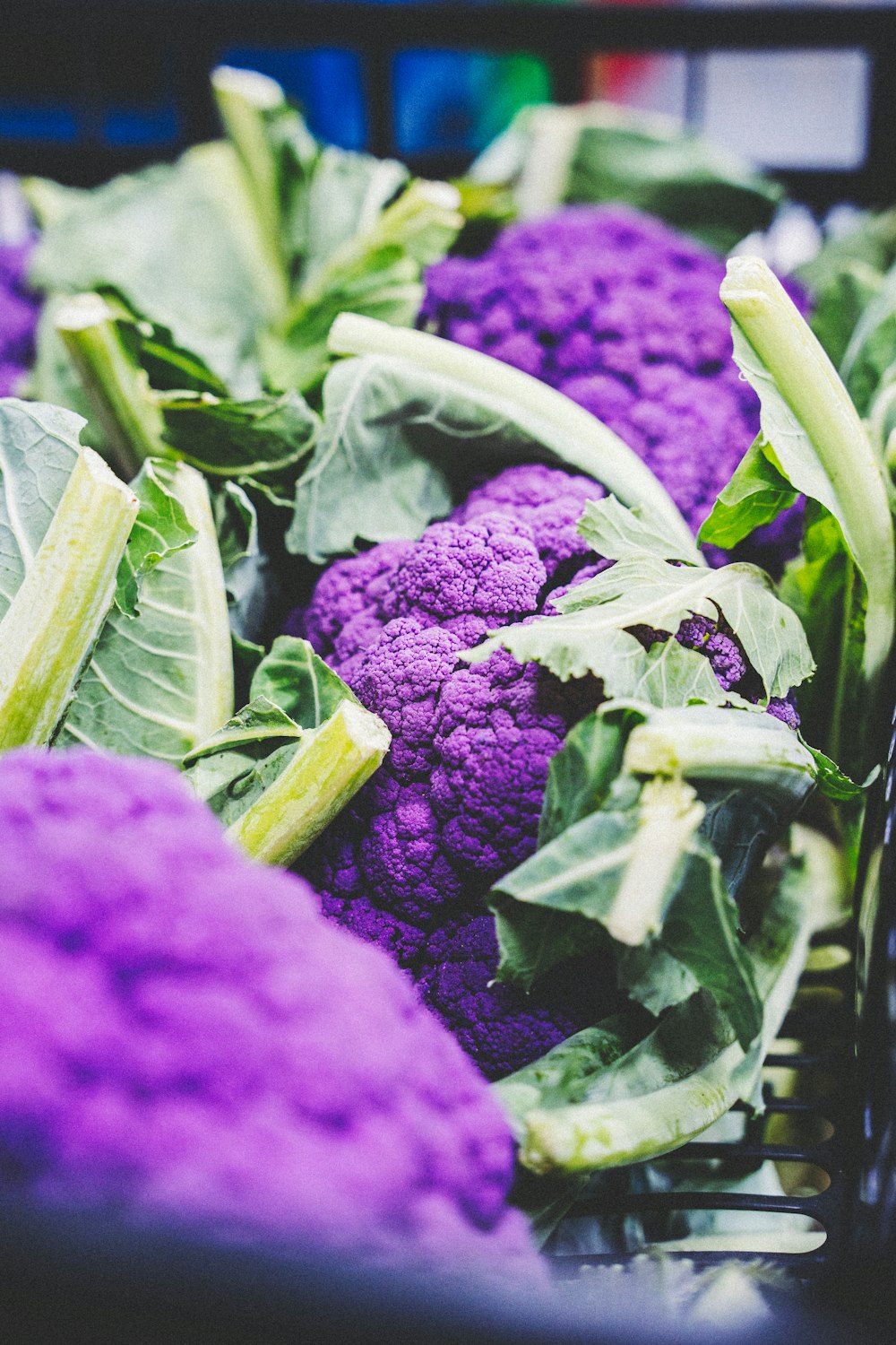 a bouquet of purple flowers