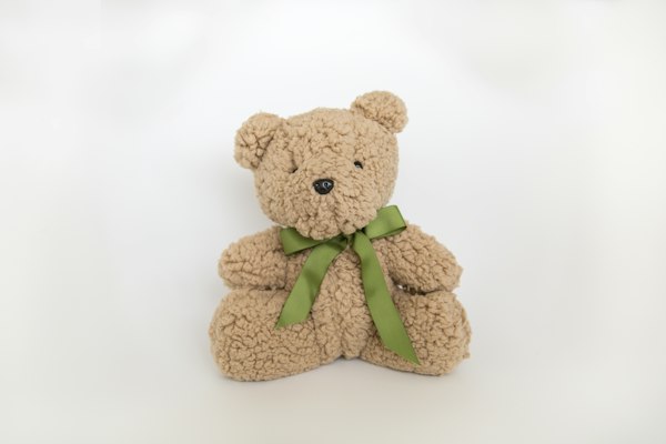 Plush Teddy Bear