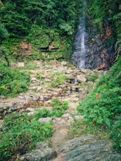 a waterfall in a forest