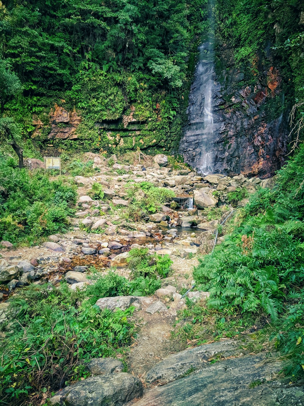 a waterfall in a forest