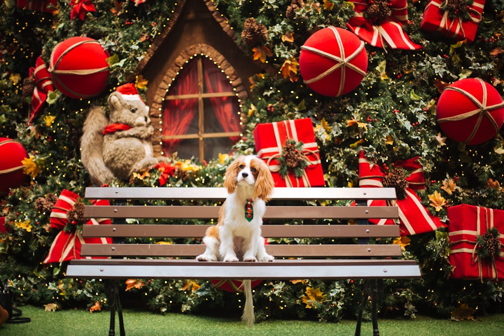 a dog sitting on a bench with a stuffed animal on it