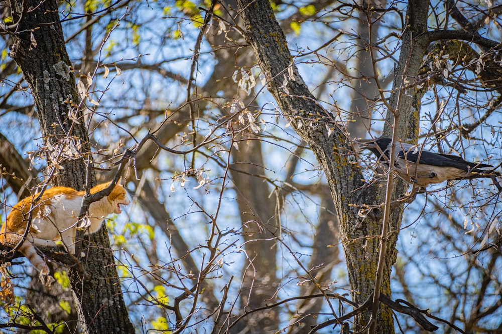 a bird perched on a tree branch