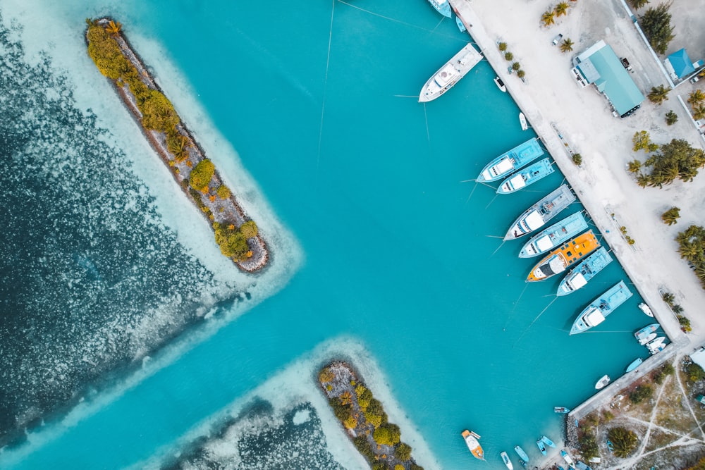 un gruppo di barche su uno specchio d'acqua