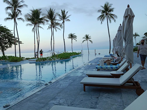The serene infinity pool at a Sofitel hotel framed by palm trees.